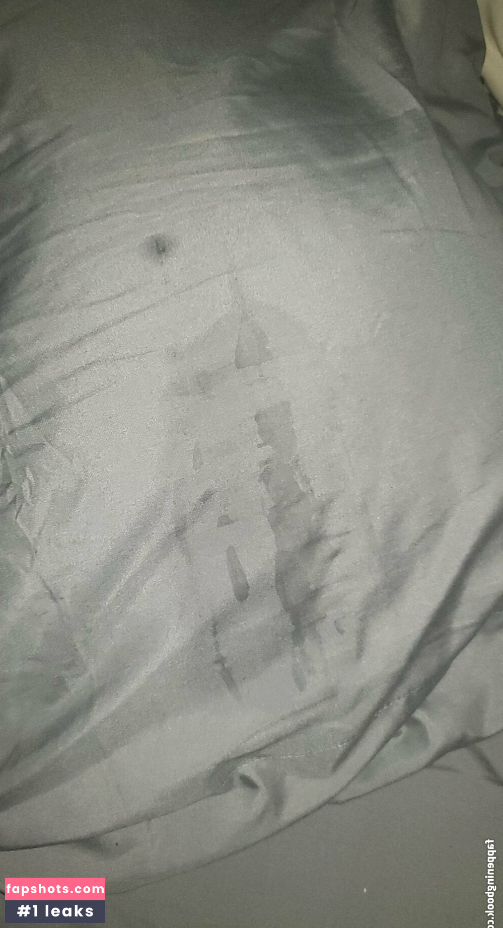 freespelaea gallery photo #6