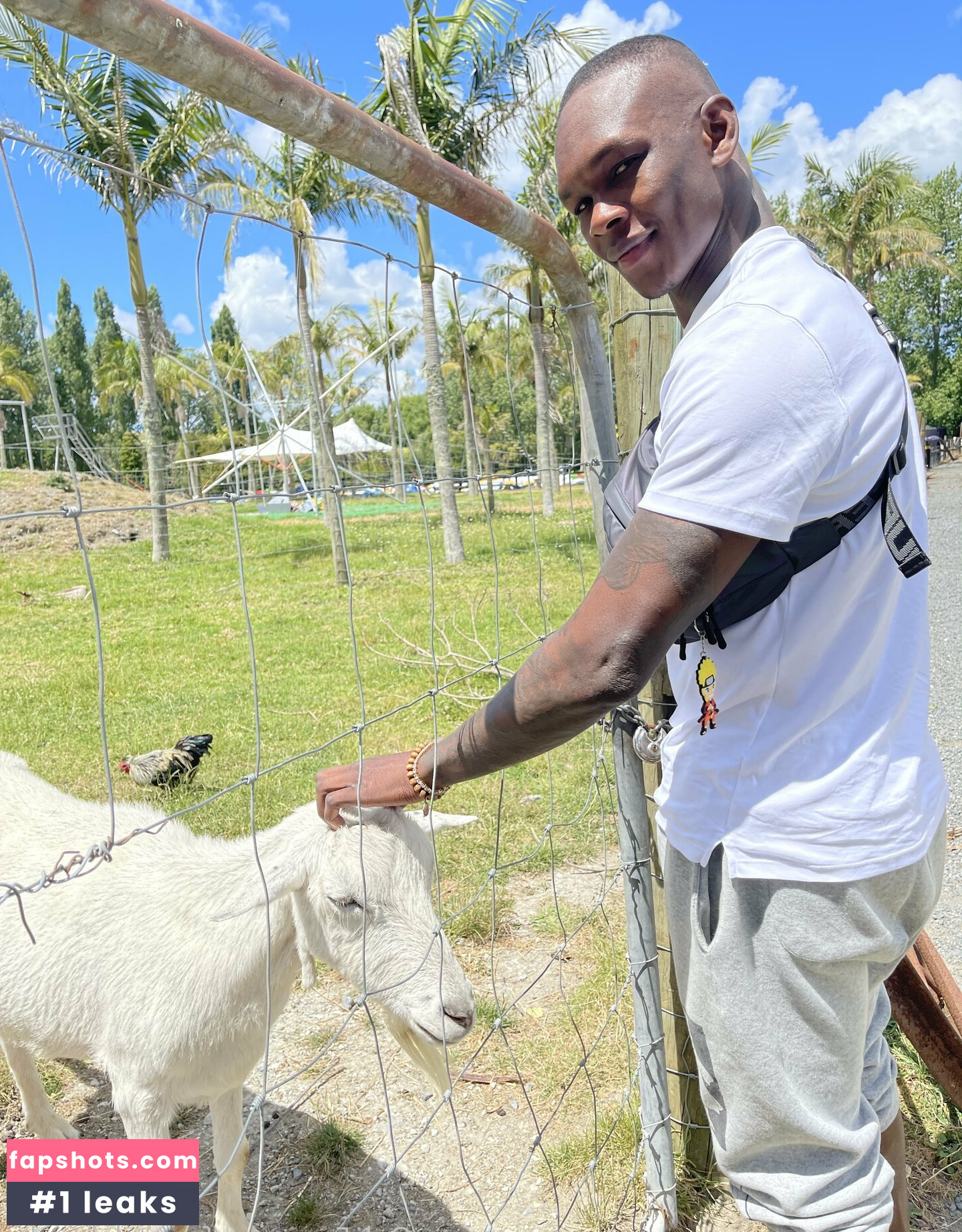 freestylebender gallery photo #4