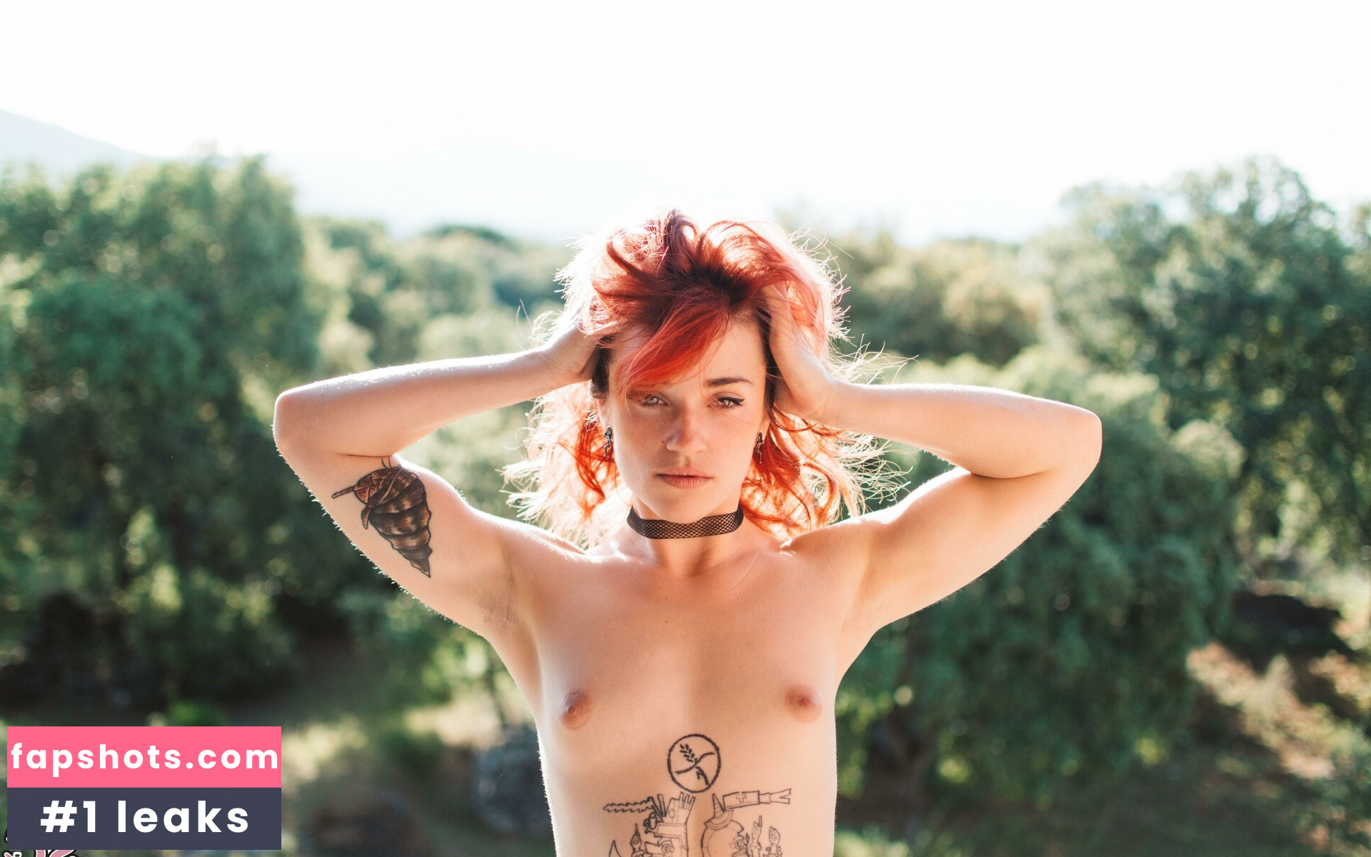 Frenia gallery photo #6