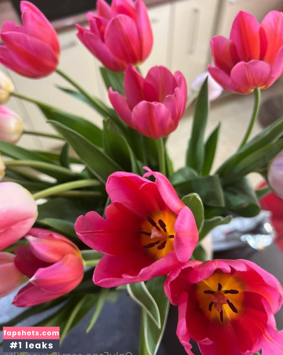 freyadollts gallery photo #33