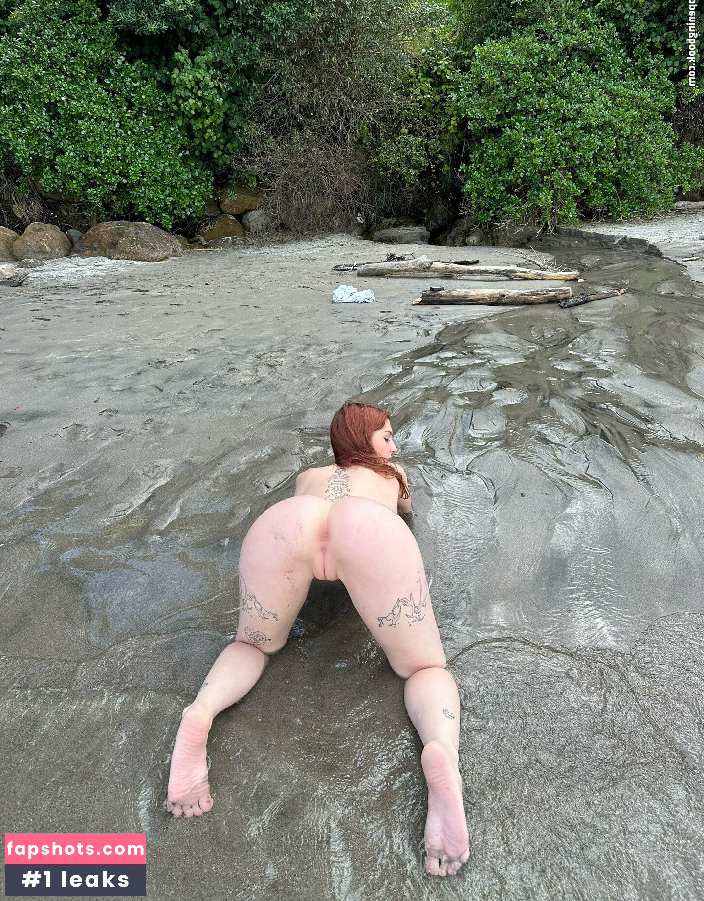 freyarey gallery photo #12