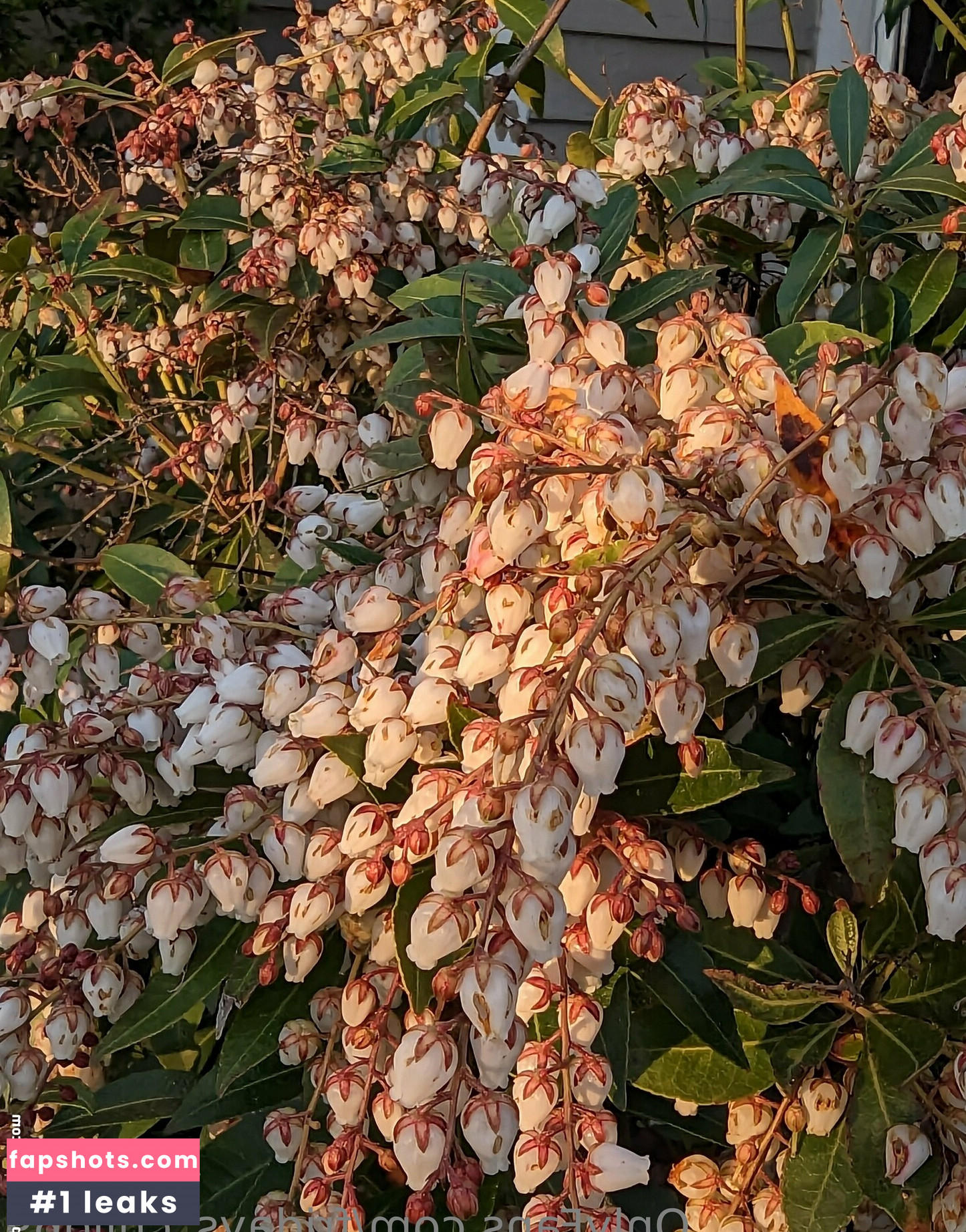 fridays_child69 gallery photo #19