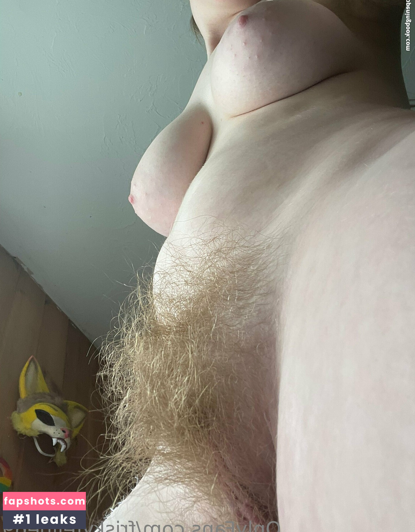 friskyfeline69 gallery photo #17