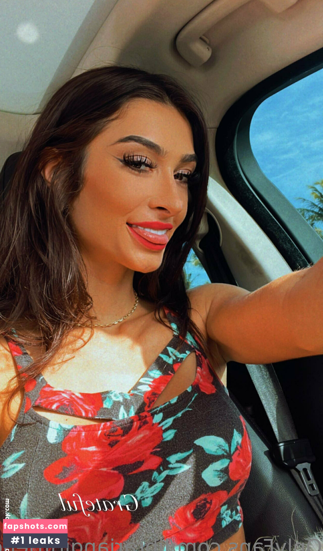 fsusophivip gallery photo #6