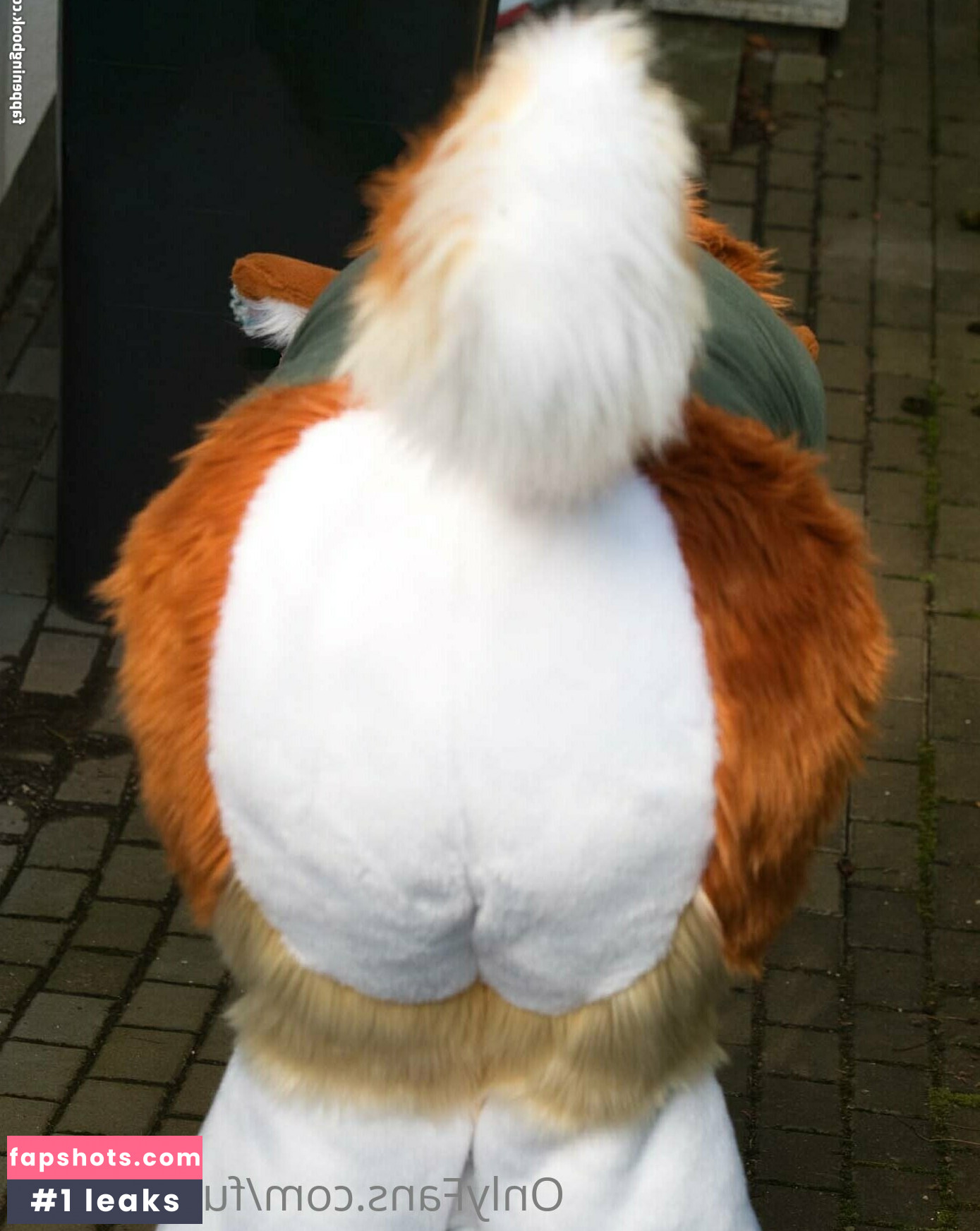 furry_foxxy Nahé úniky fotek pouze od fanoušků #20 - Fapshots