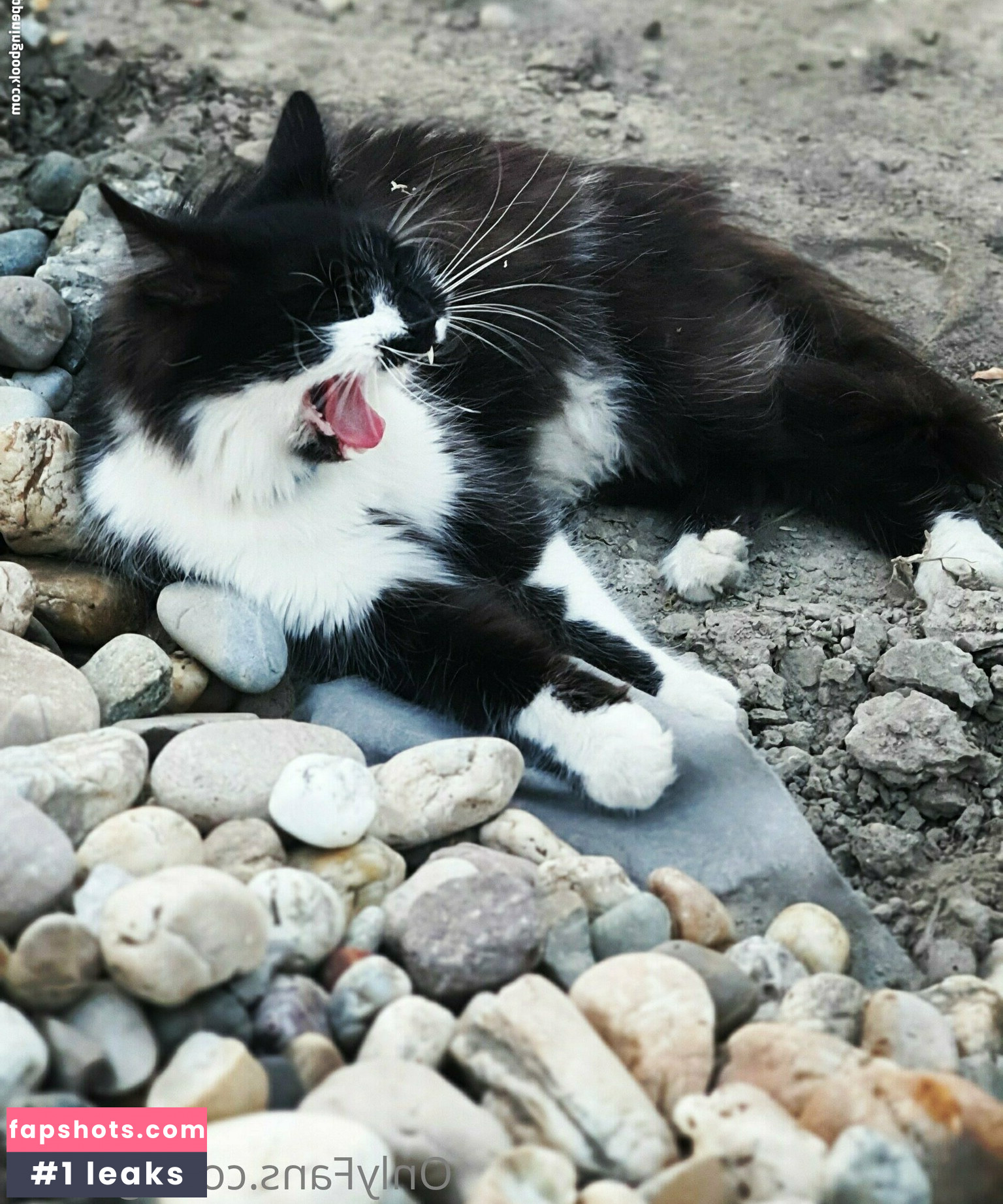 g_luna Nahé úniky fotek pouze od fanoušků #9 - Fapshots