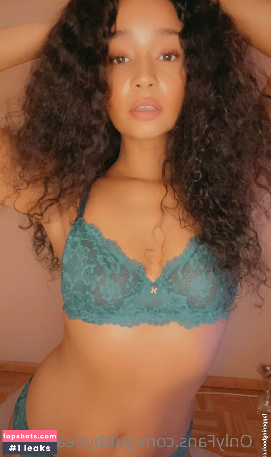 gabbydealmeida Nacktheit OnlyFans Fotos #31 - Fapshots