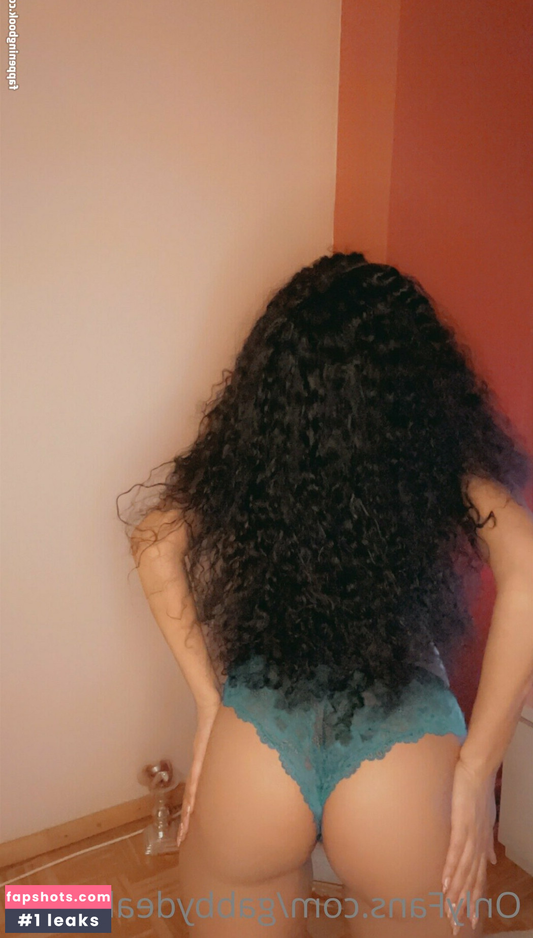 gabbydealmeida Nacktheit OnlyFans Fotos #36 - Fapshots