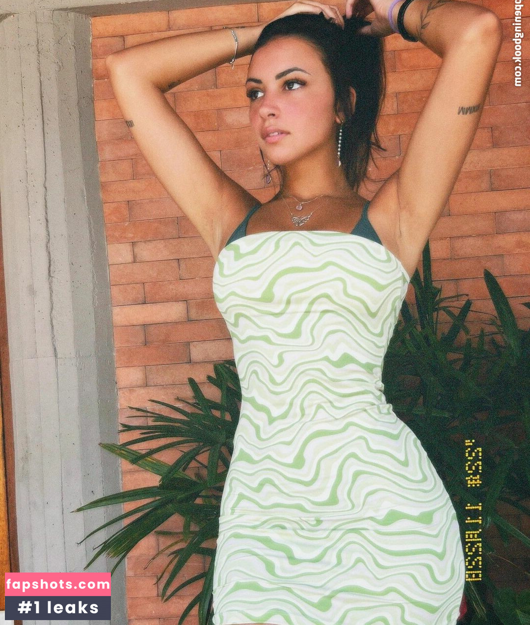 Gabriela Moura gallery photo #212