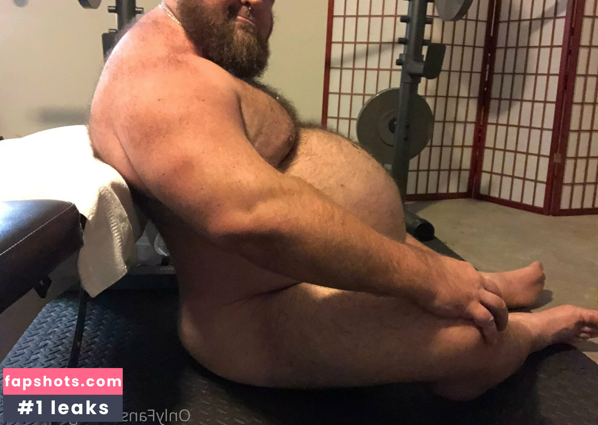 gainerbull gallery photo #24