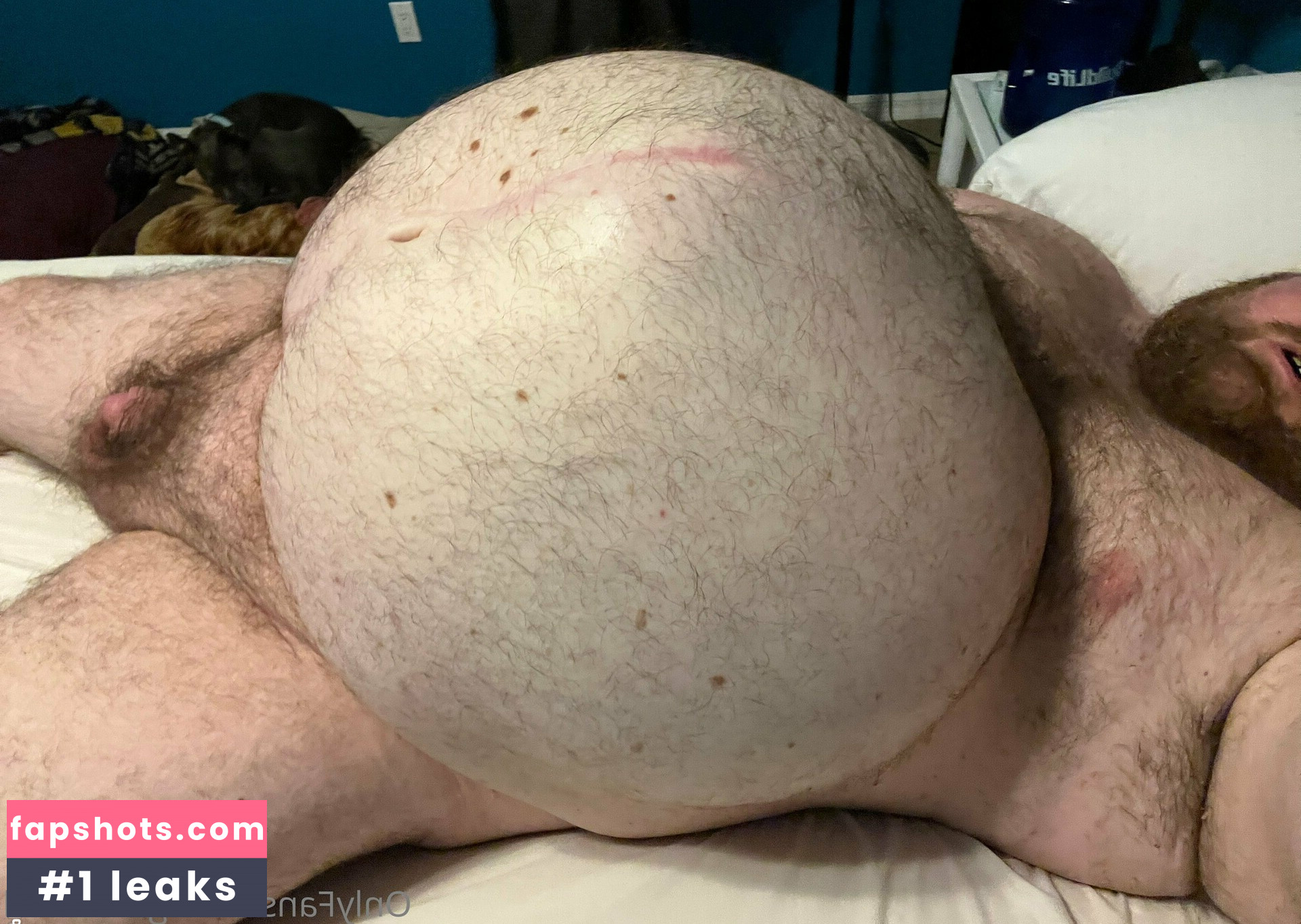 gainerbull gallery photo #31