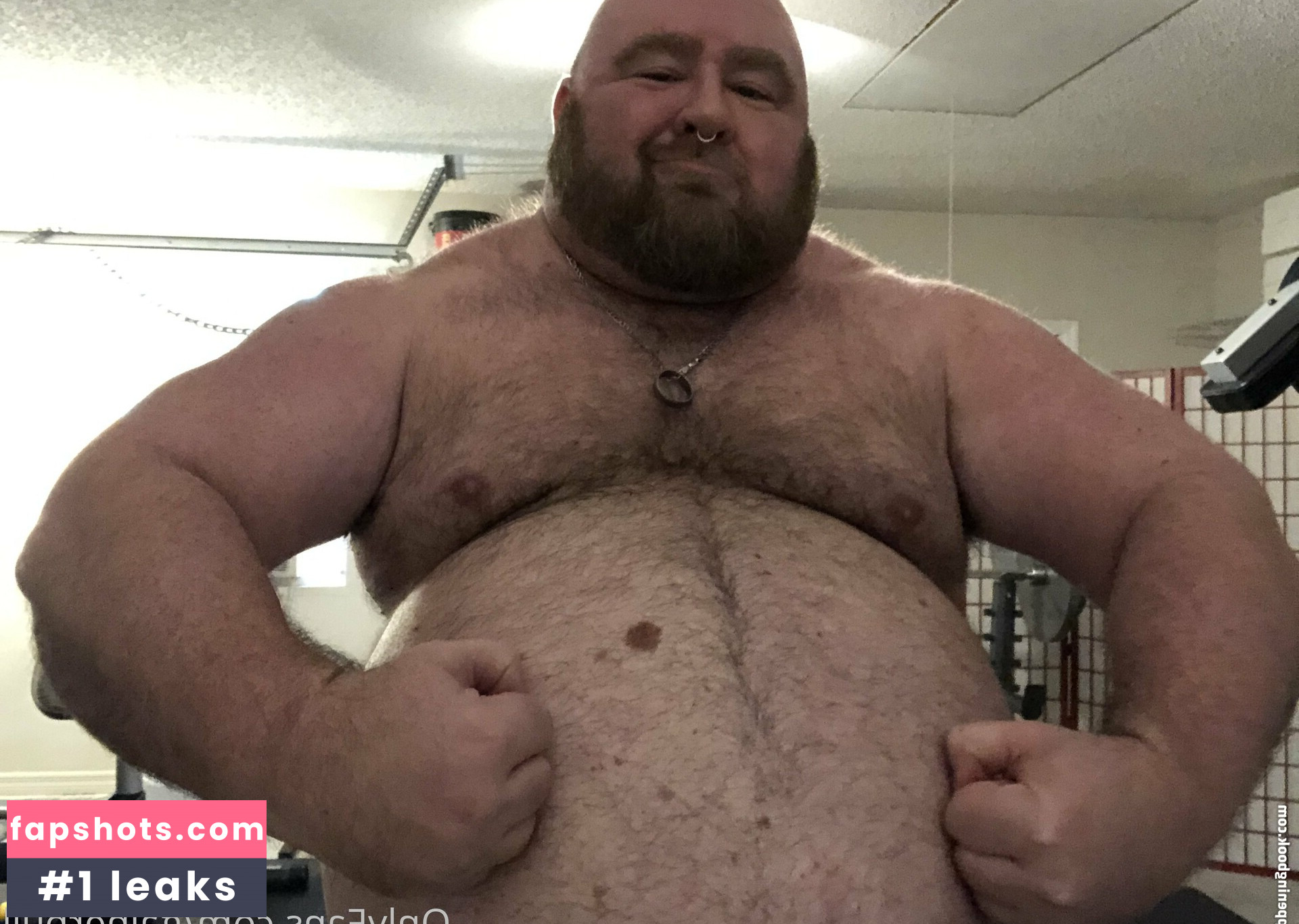 gainerbull gallery photo #37