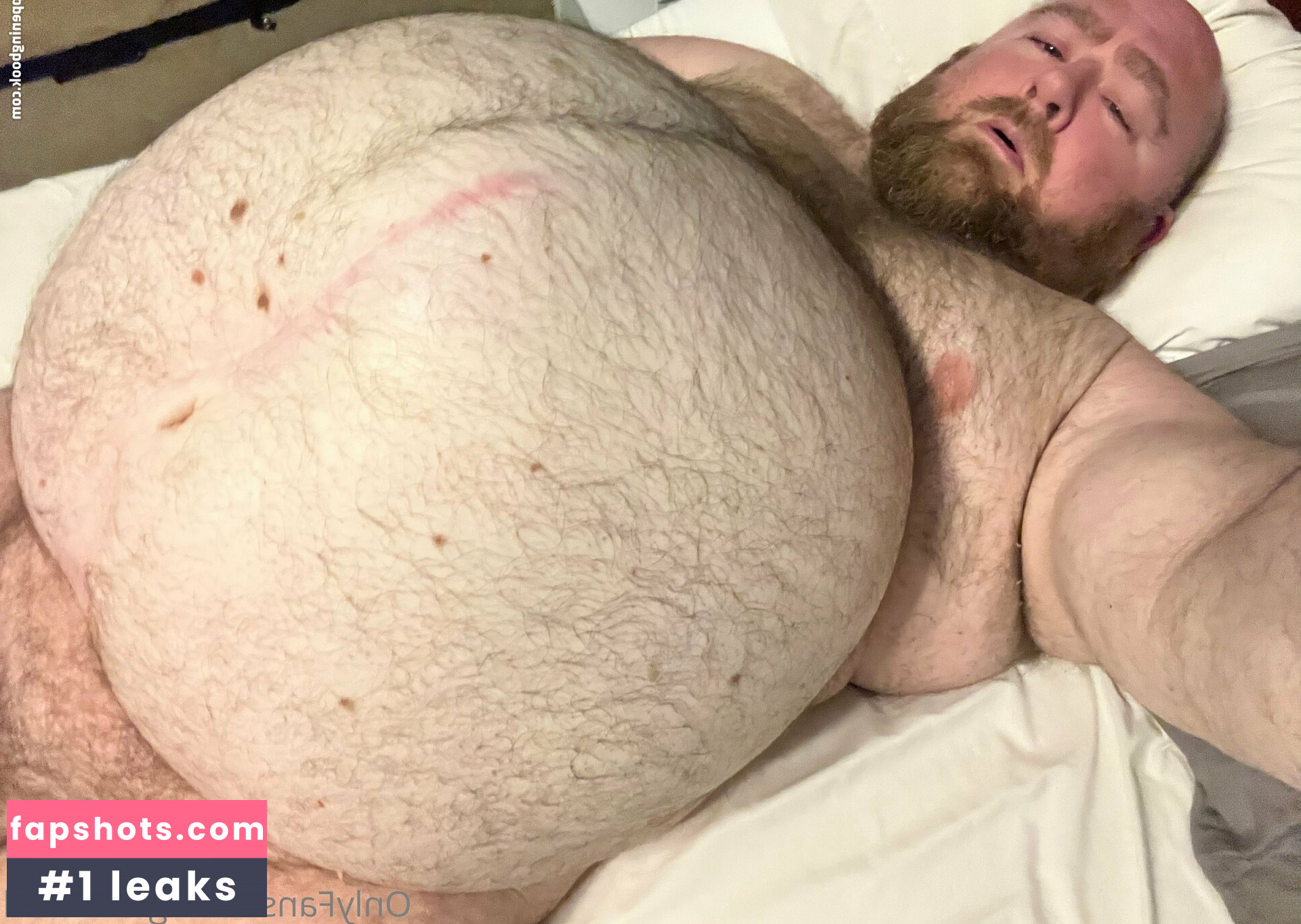 gainerbull gallery photo #46