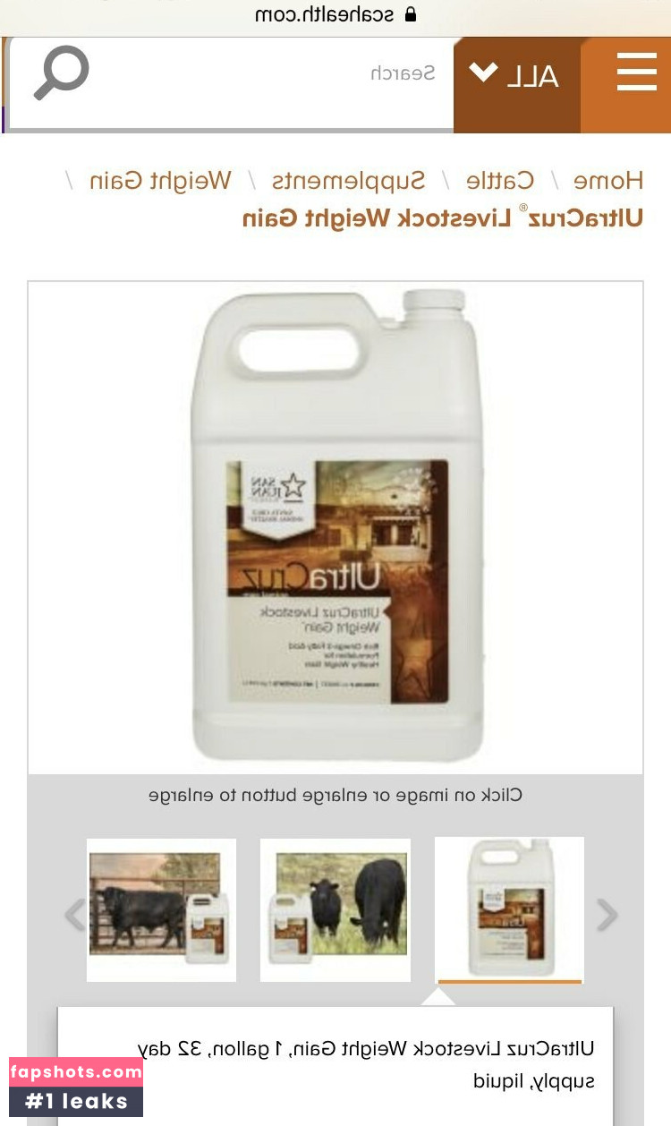 gainerbull gallery photo #72