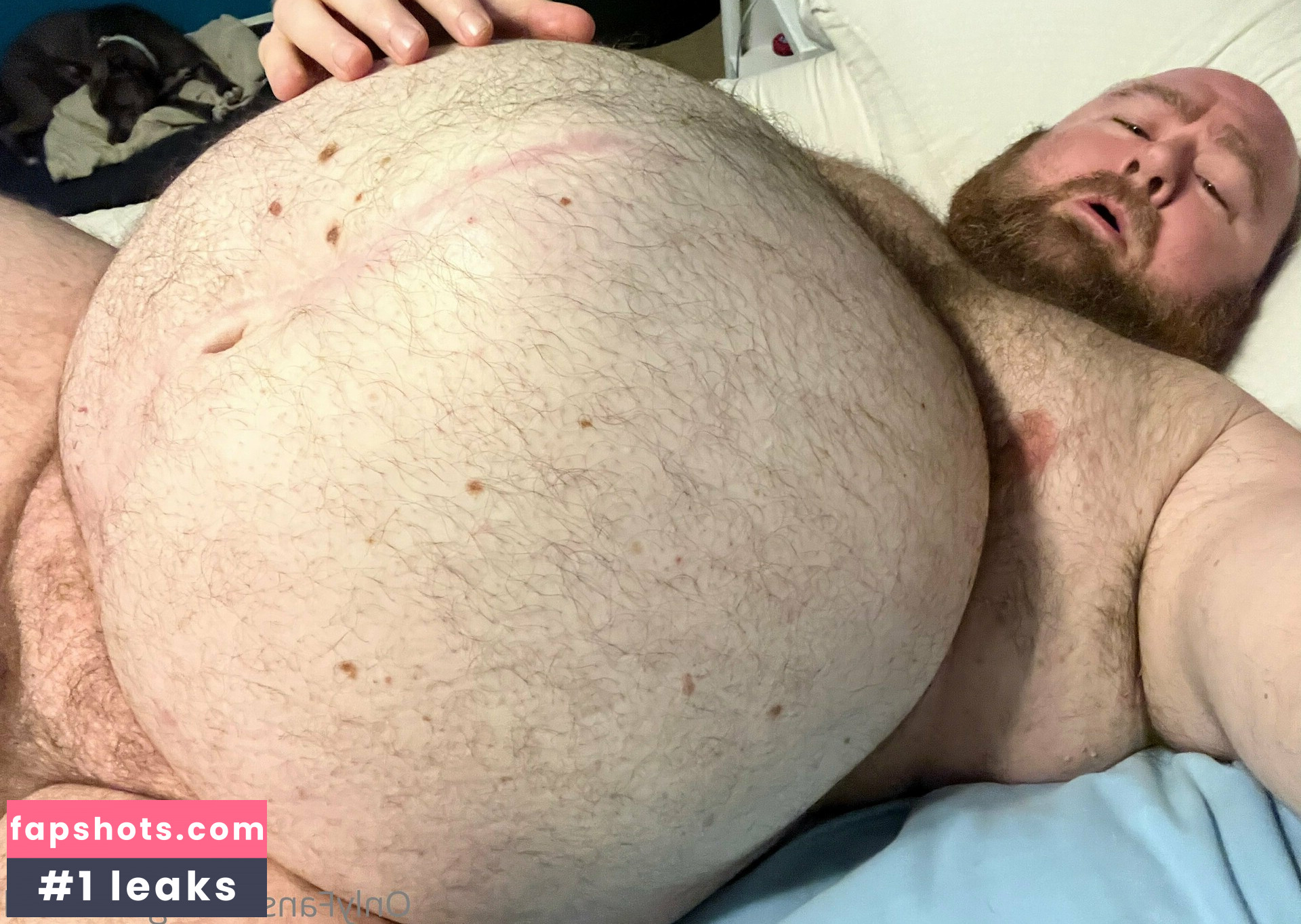 gainerbull gallery photo #9