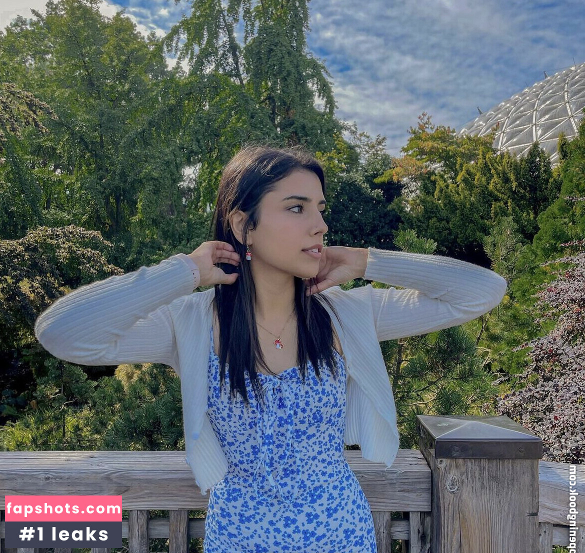 Gal Akbari gallery photo #5