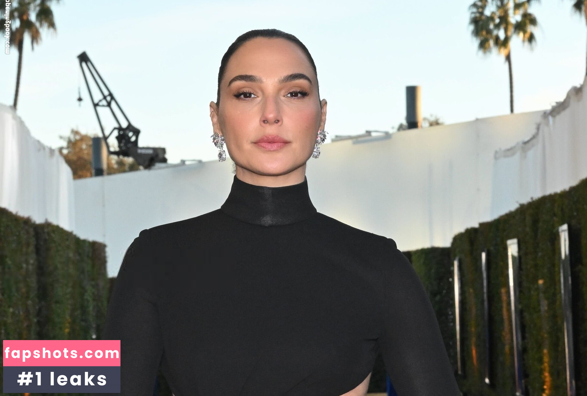 Gal Gadot gallery photo #102