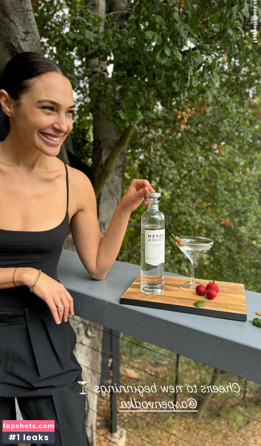 Gal Gadot gallery photo #302