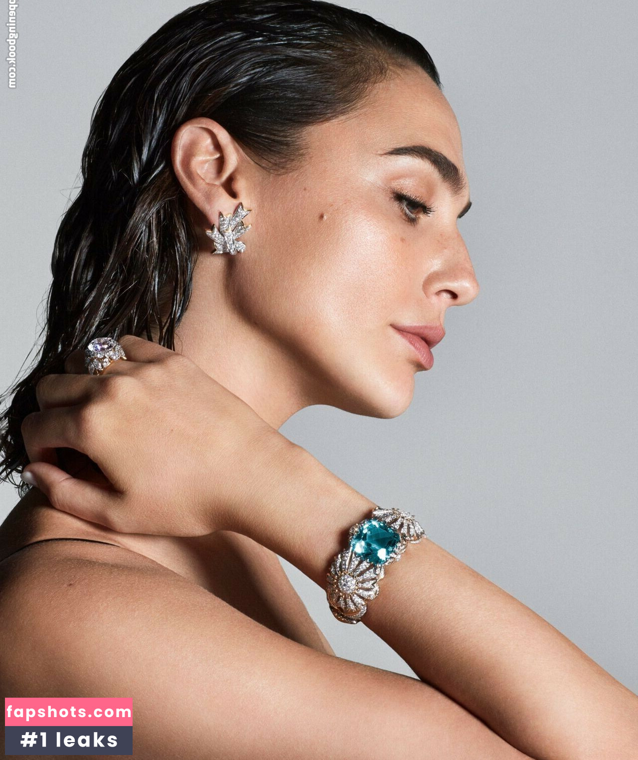 Gal Gadot gallery photo #370