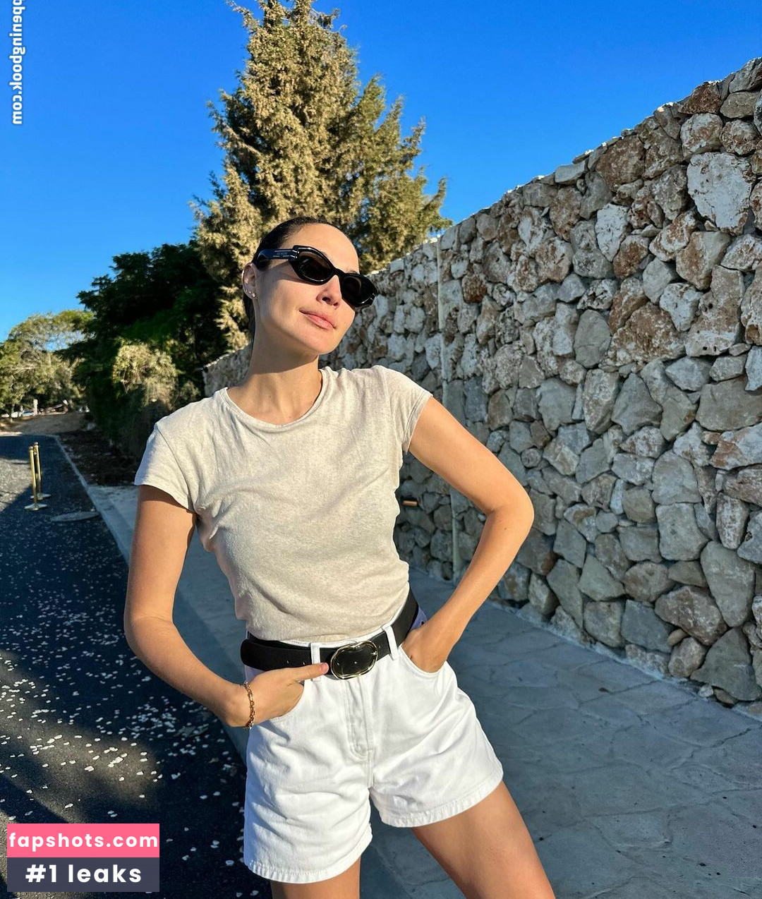 Gal Gadot gallery photo #476