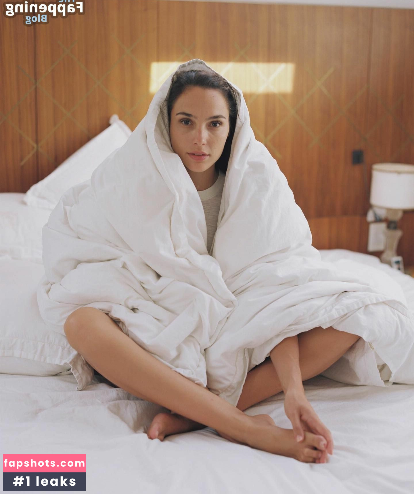 Gal Gadot gallery photo #494