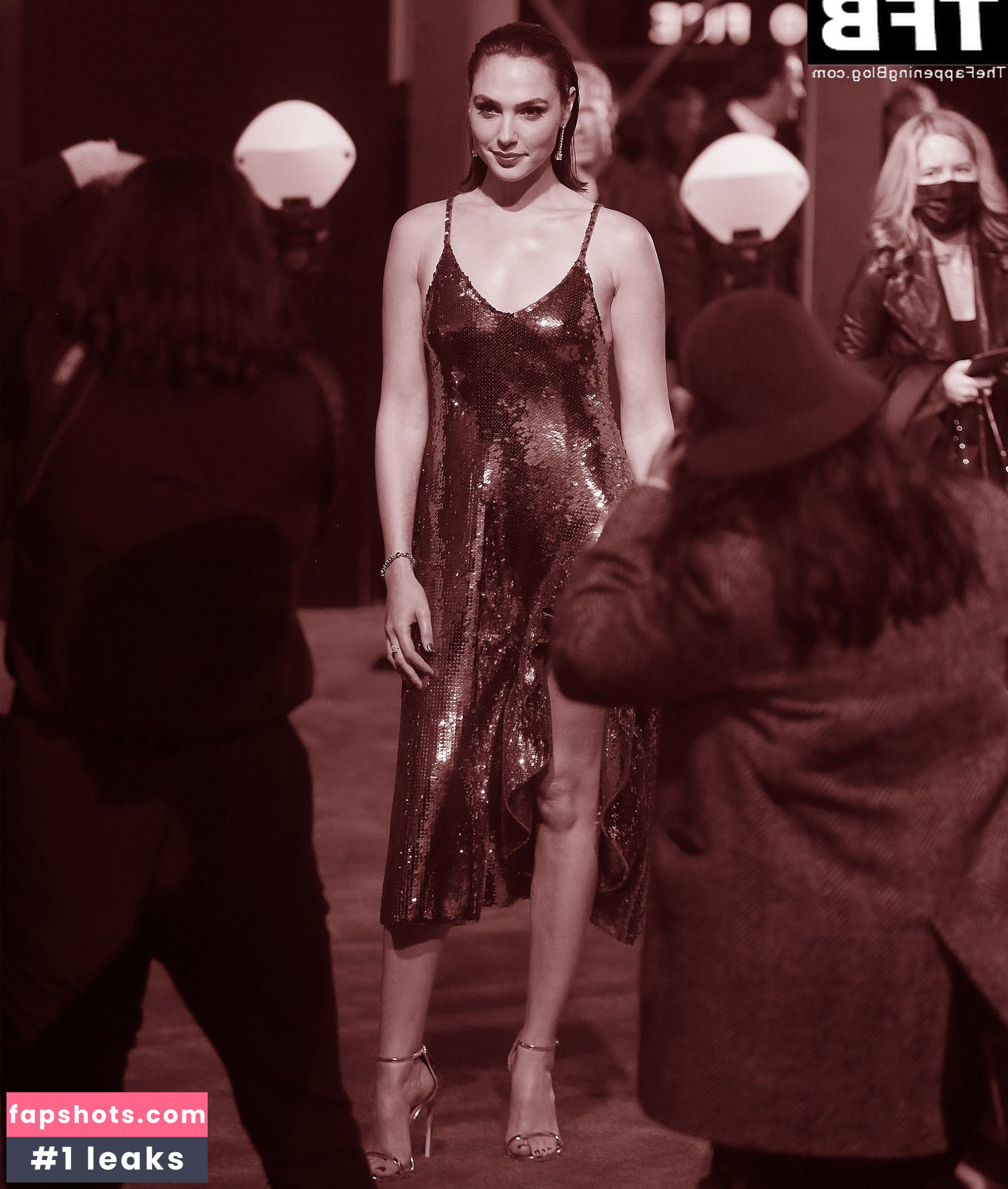 Gal Gadot gallery photo #687