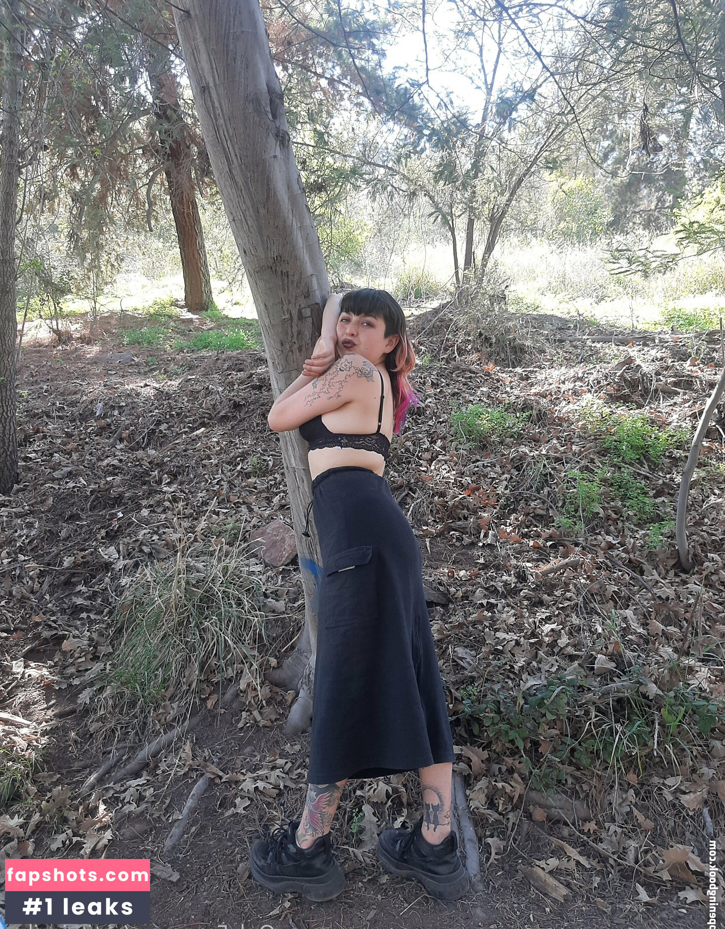 gatitajavilun gallery photo #12