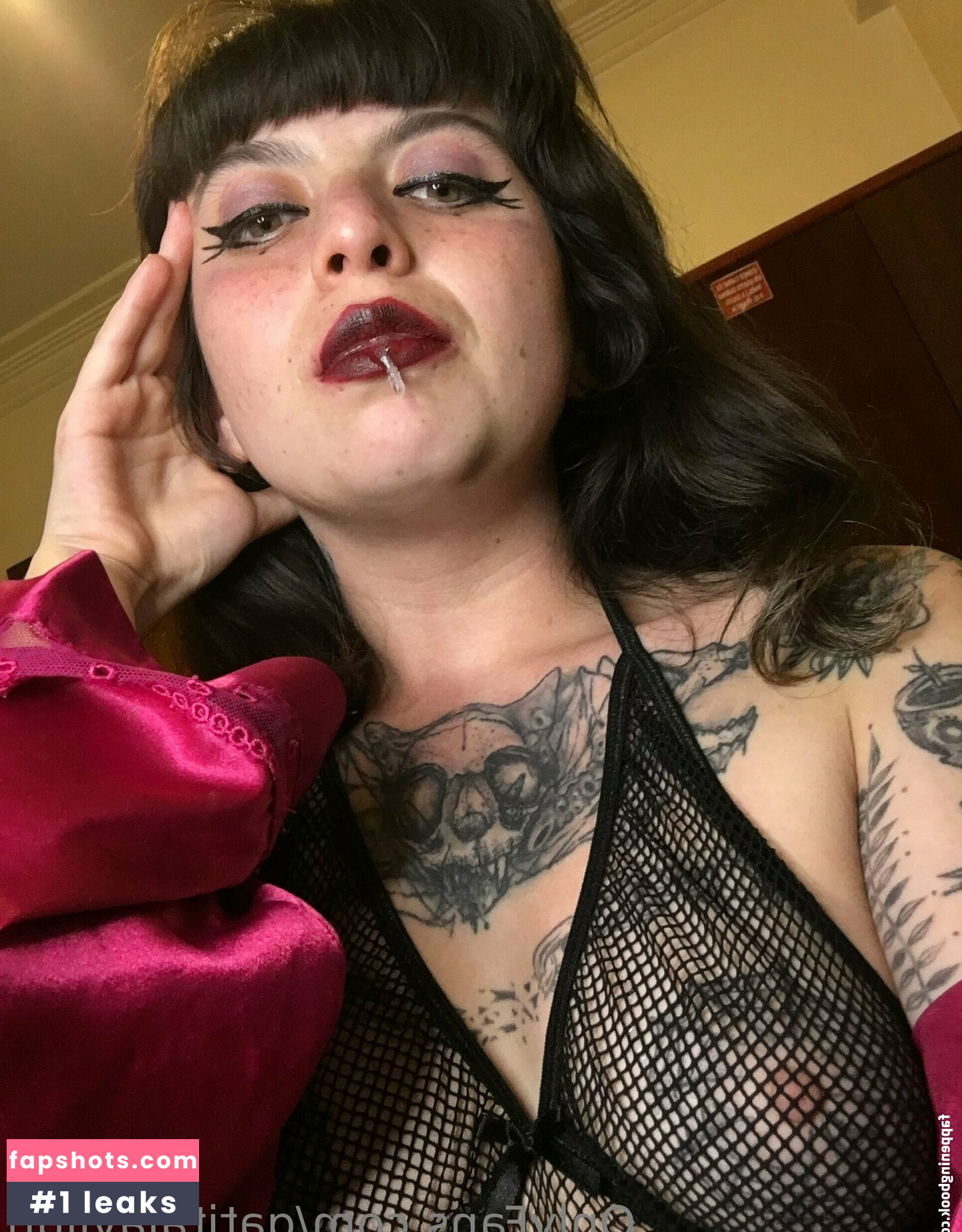 gatitajavilun gallery photo #22