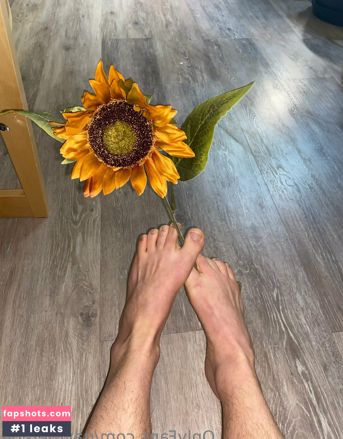 gaymer-joe gallery photo #5