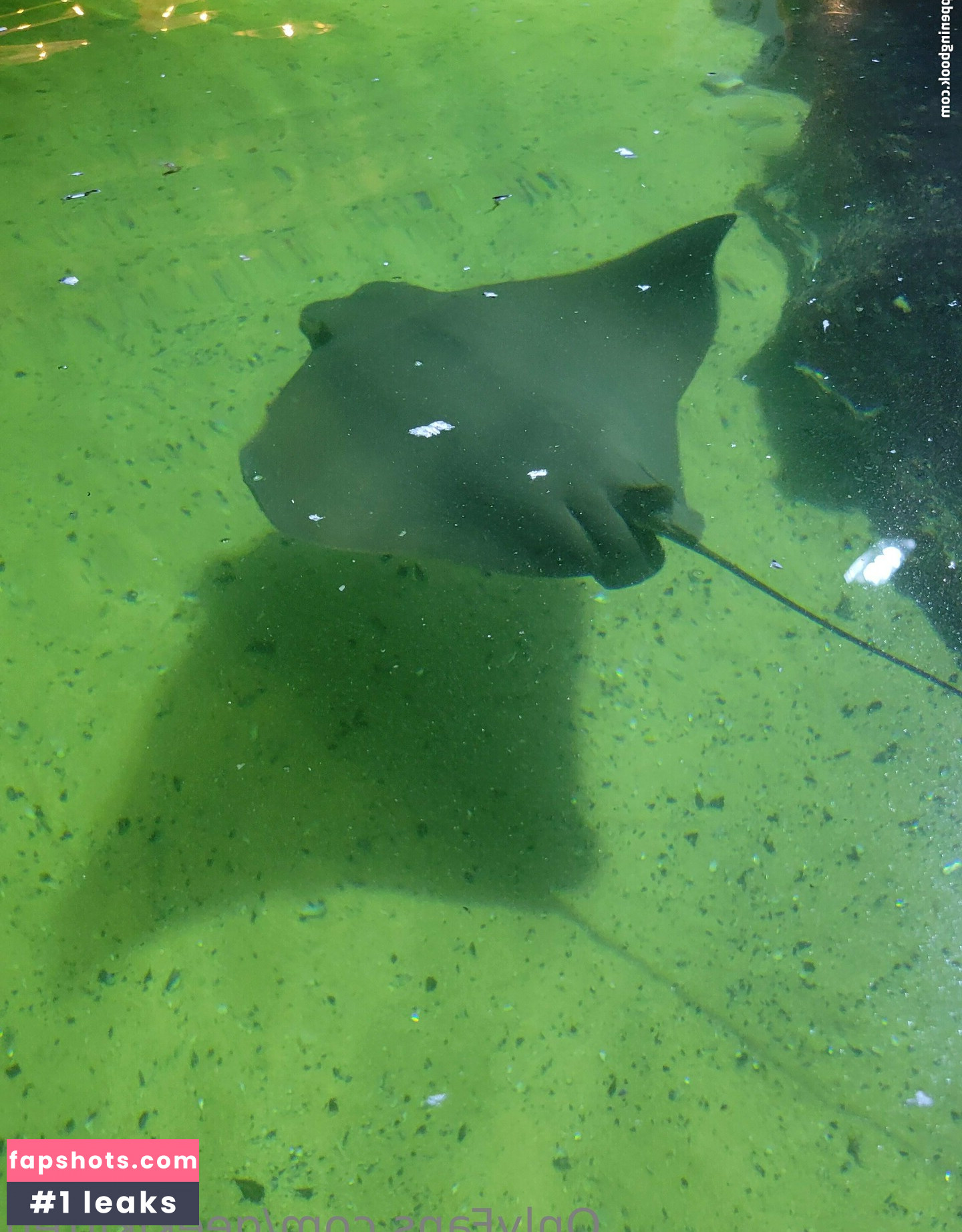 geekikitten nude babe gallery