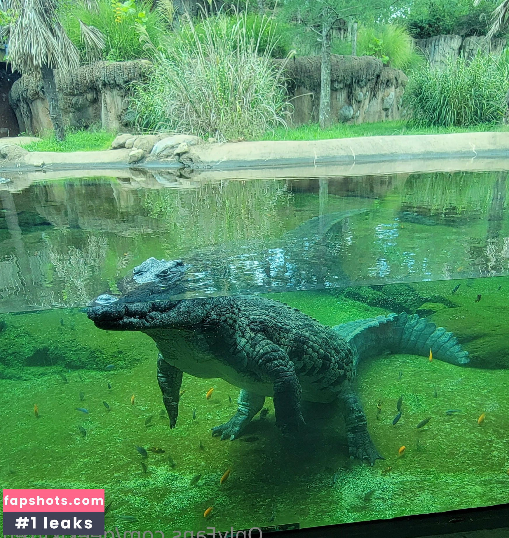 geekikitten gallery photo #41