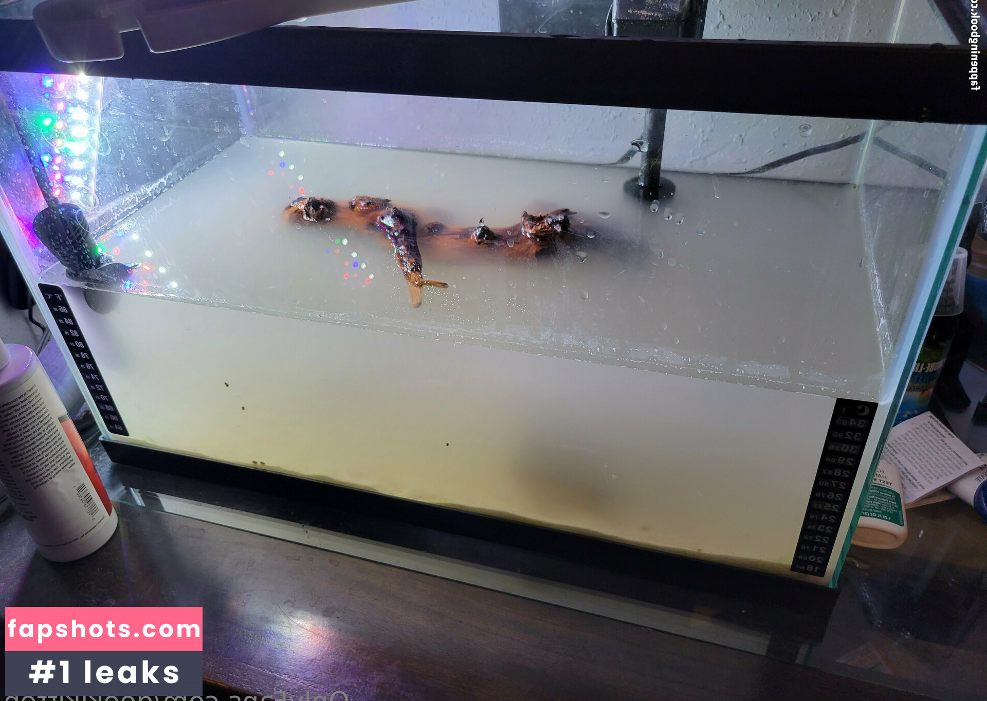 geekikitten Nahé úniky fotek pouze od fanoušků #46 - Fapshots