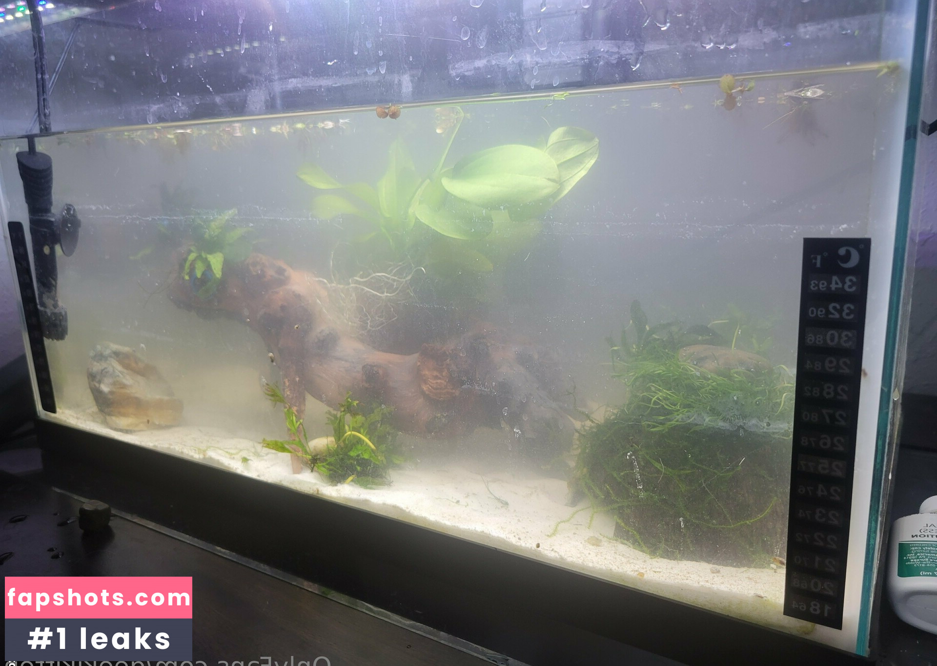 geekikitten Nahé úniky fotek pouze od fanoušků #48 - Fapshots