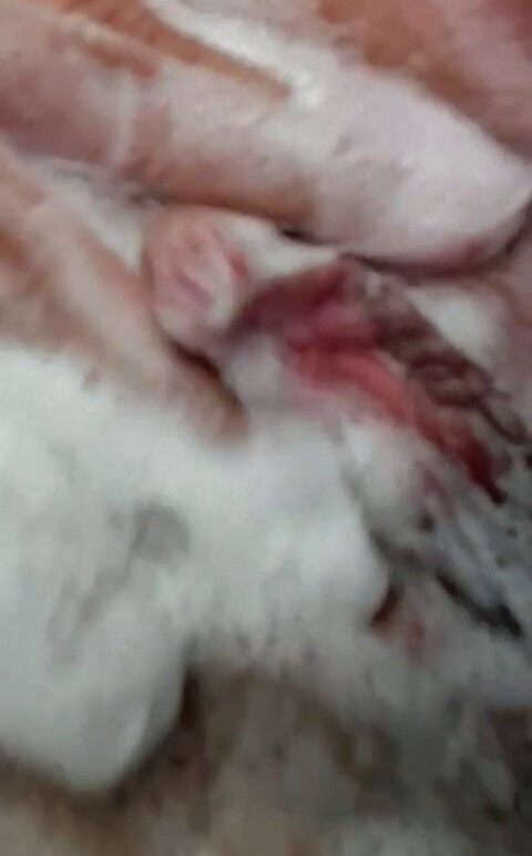 geisy-arruda gallery photo #1796