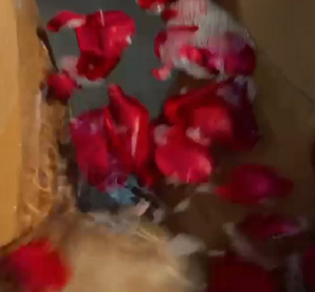 geisy-arruda gallery photo #1893