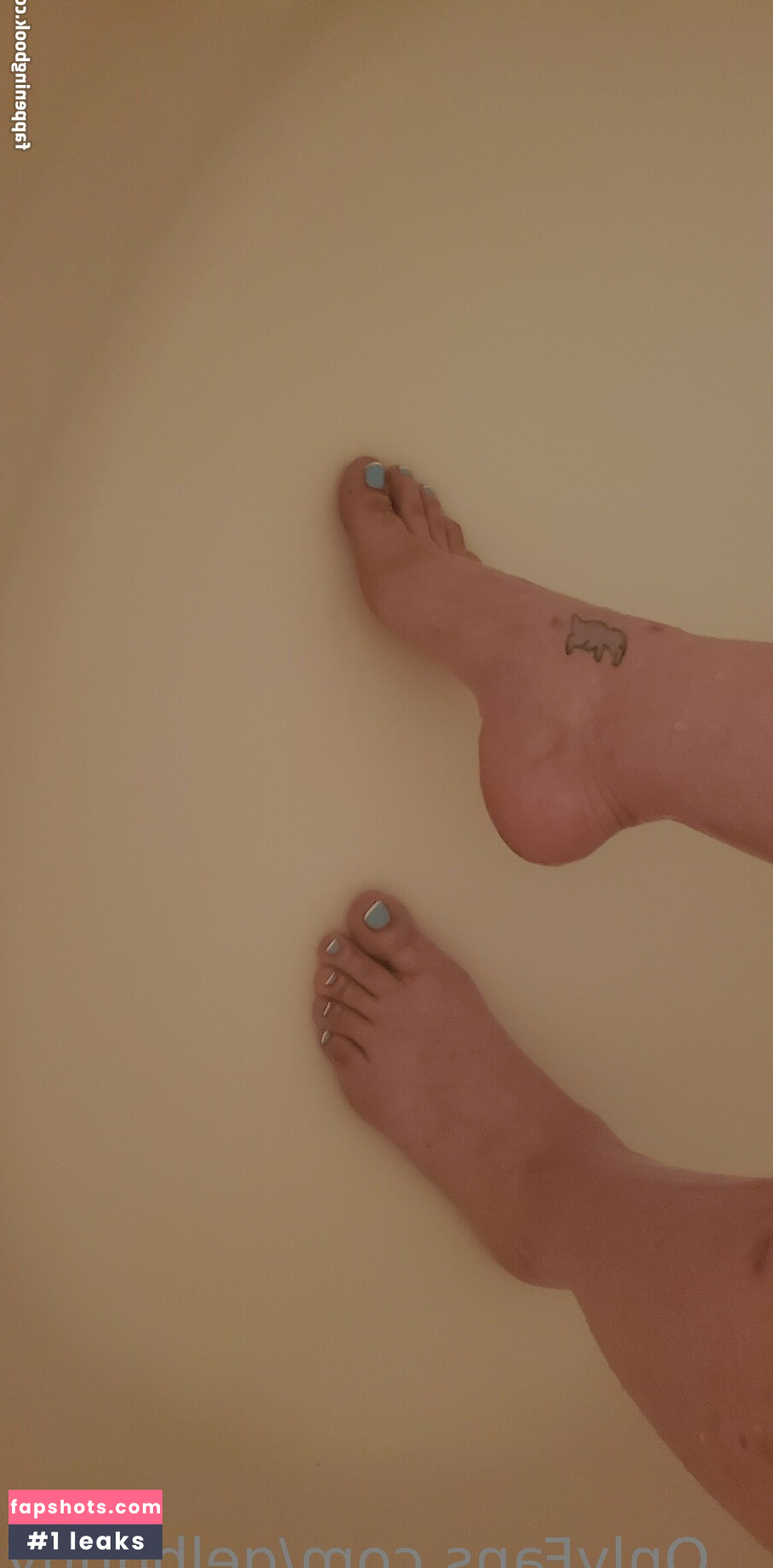 gelbunny gallery photo #7