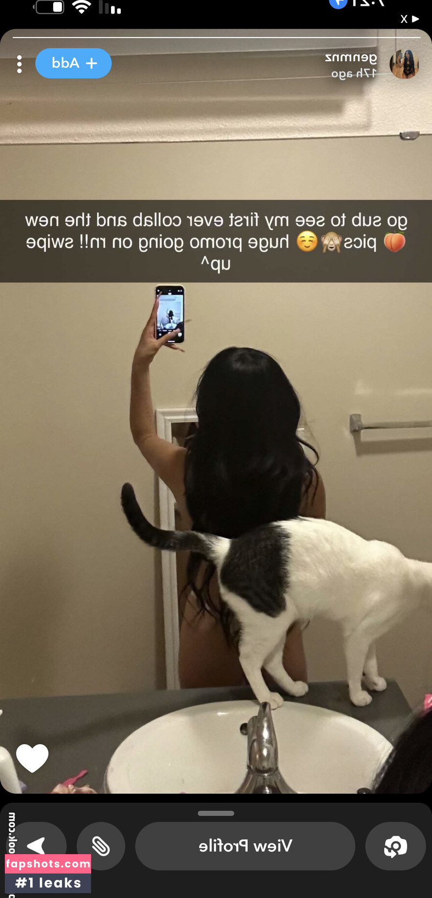 Genesis gallery photo #4