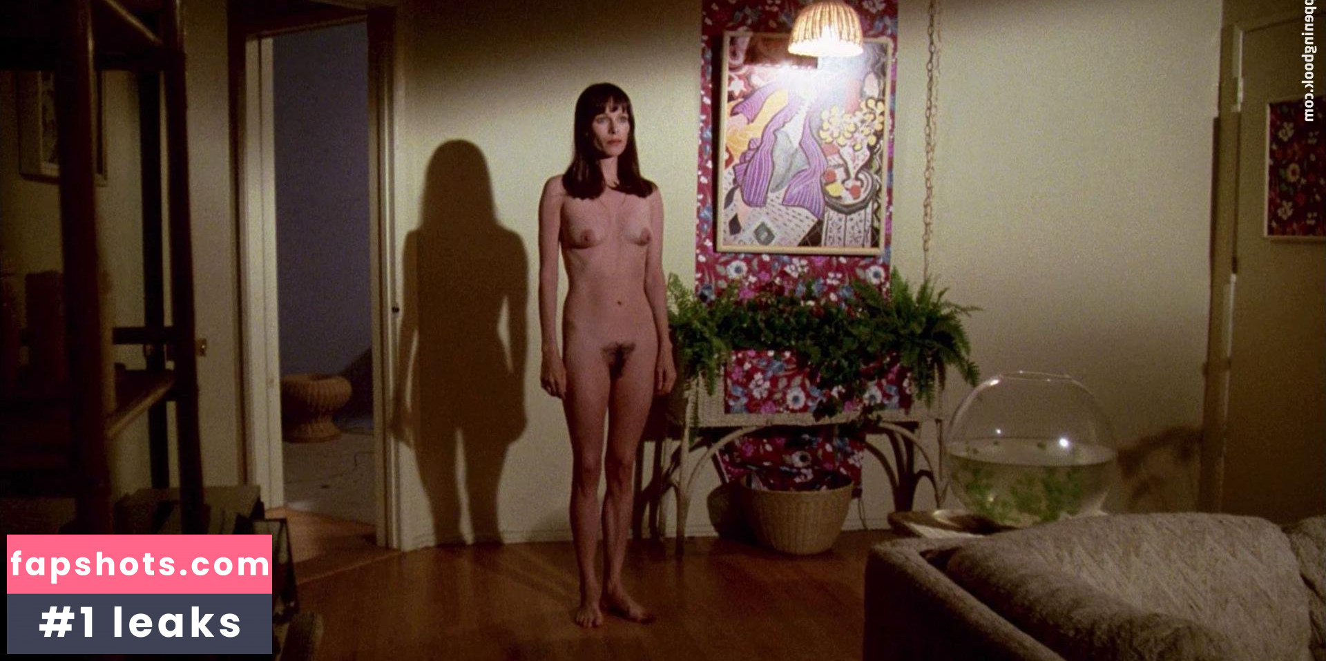 Geraldine Chaplin gallery photo #13