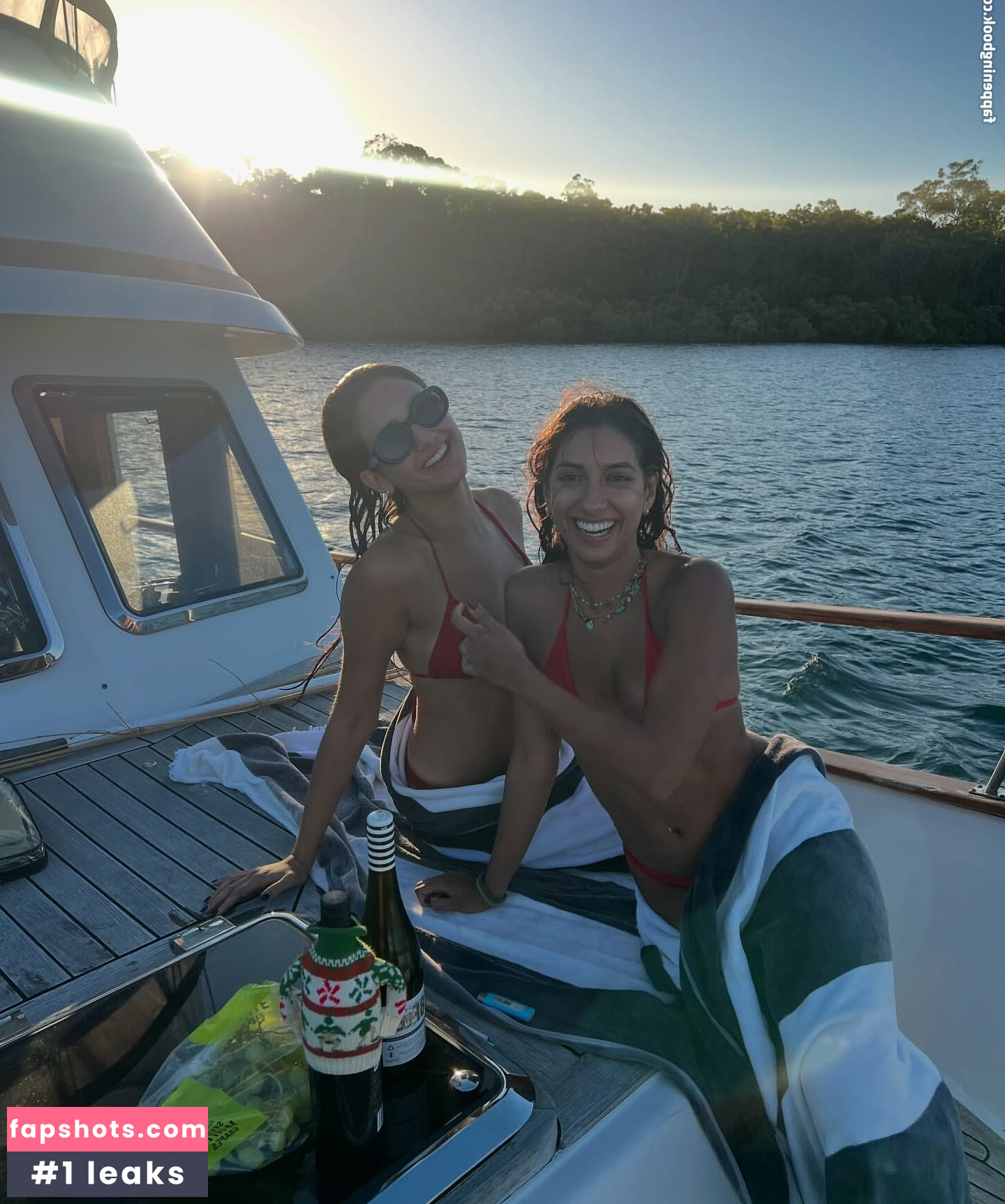 Geraldine Viswanathan Nude Leaks OnlyFans Photos #49 - LeakJerk