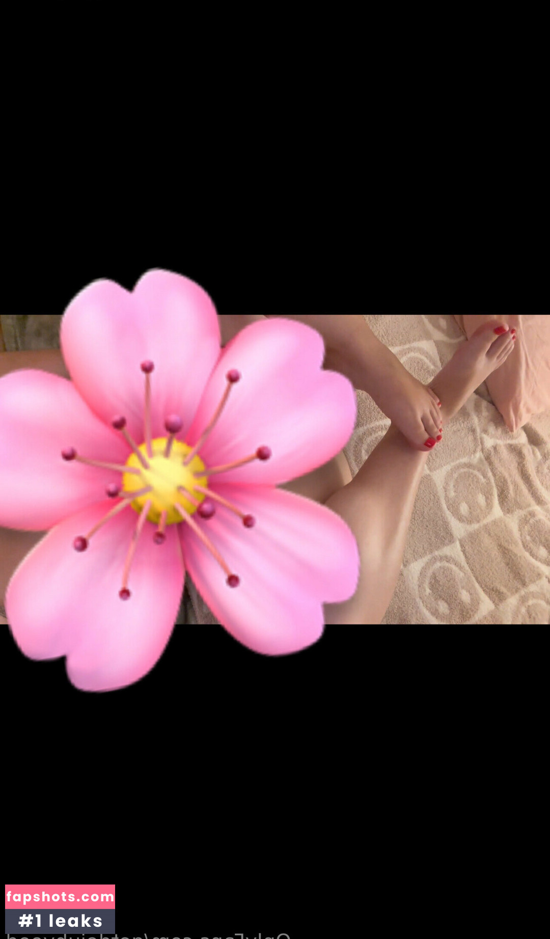 getdejuhvood gallery photo #15