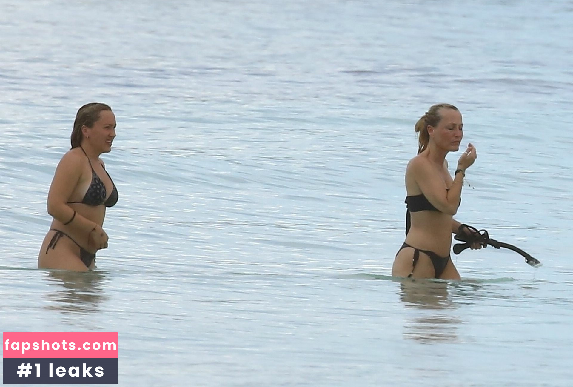 Gillian Anderson gallery photo #52