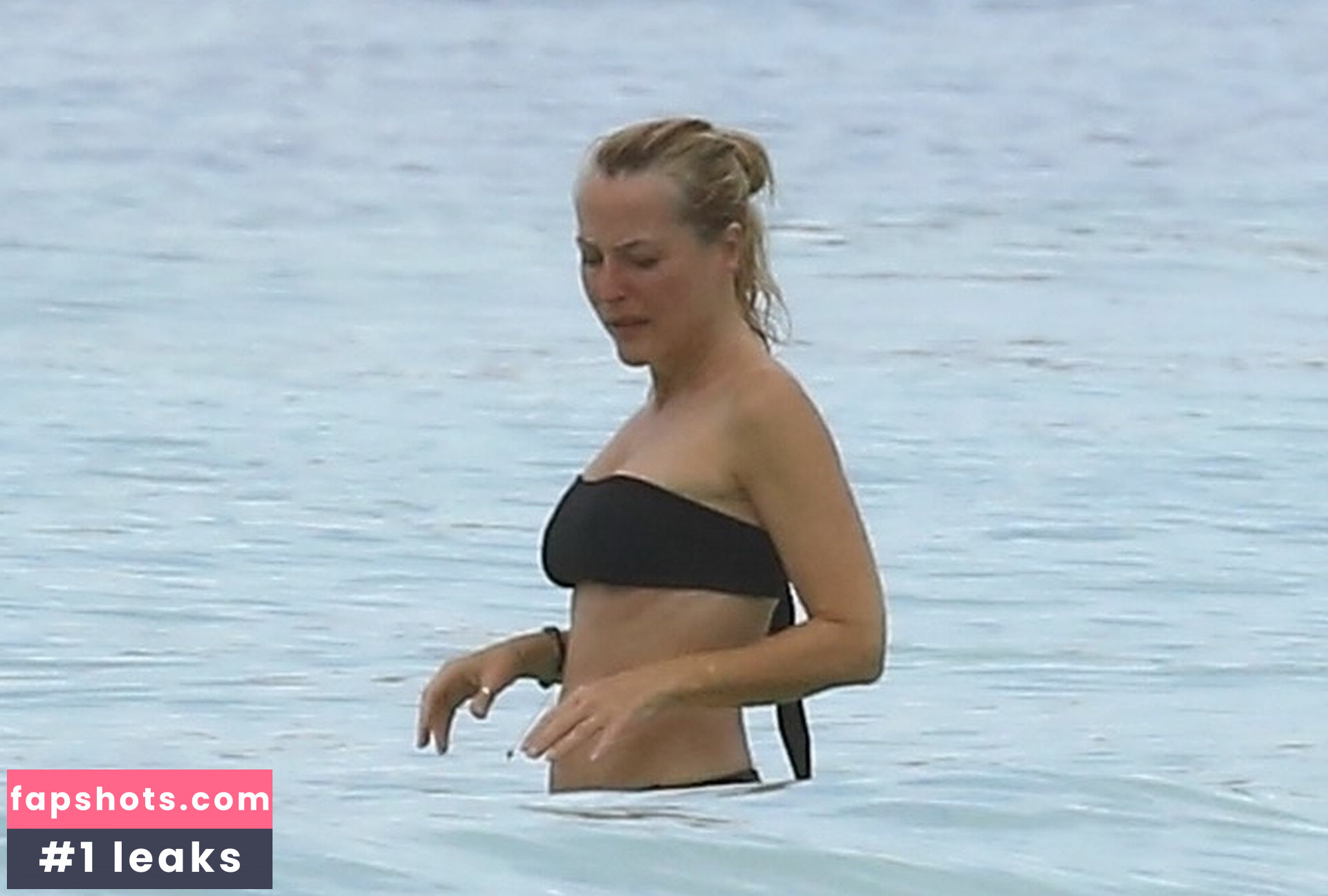 Gillian Anderson gallery photo #56