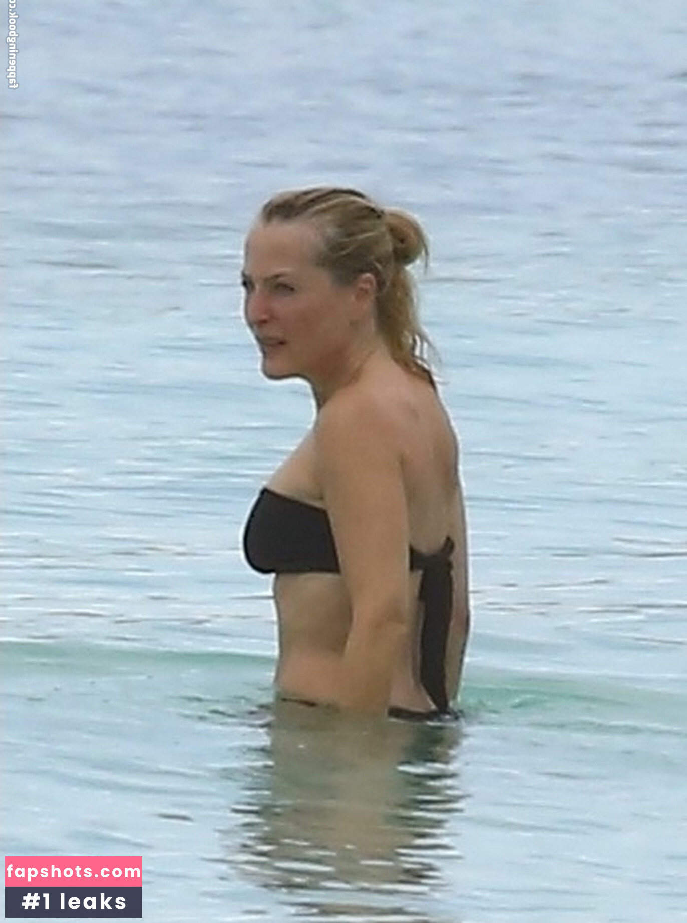 Gillian Anderson gallery photo #58