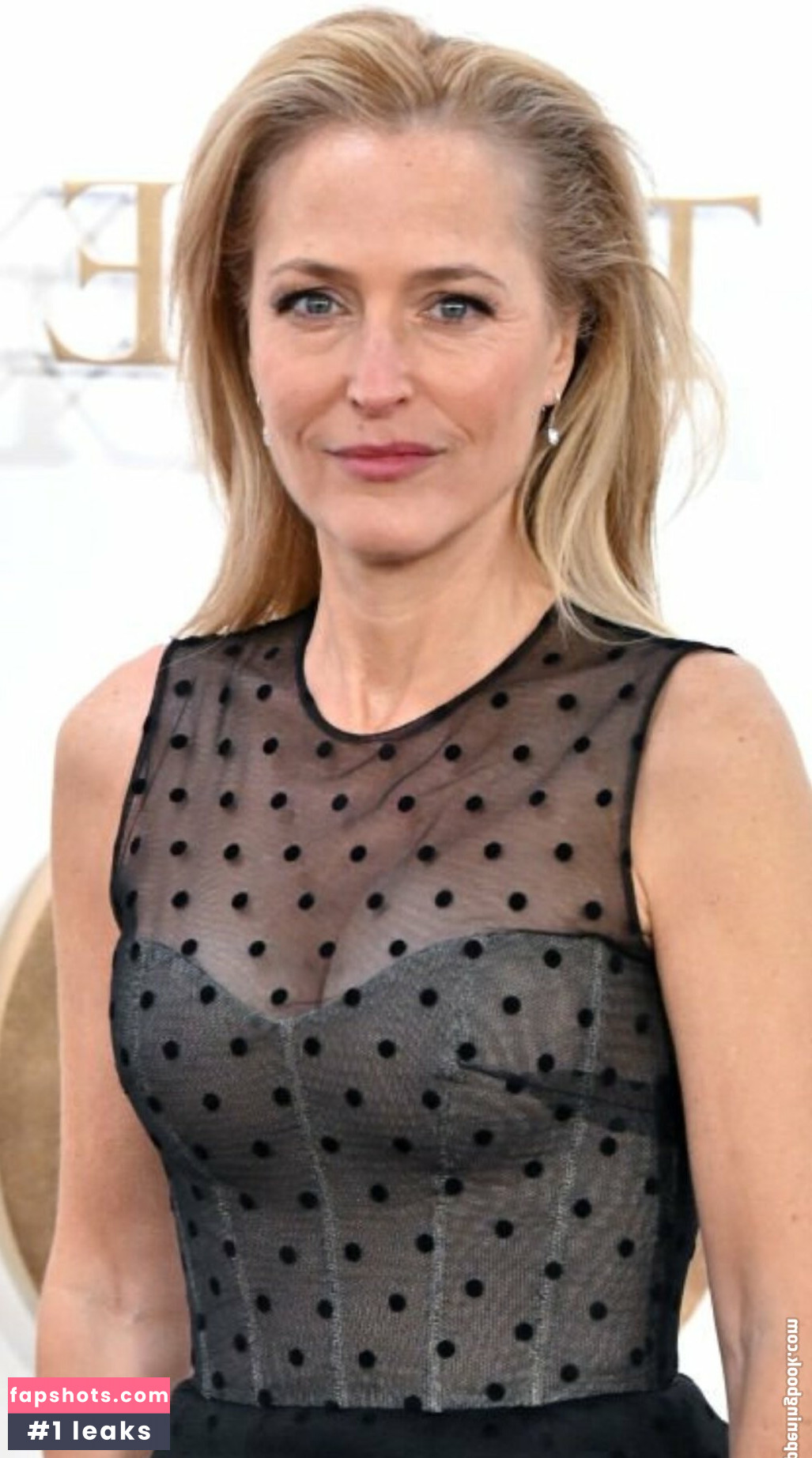 Gillian Anderson gallery photo #96