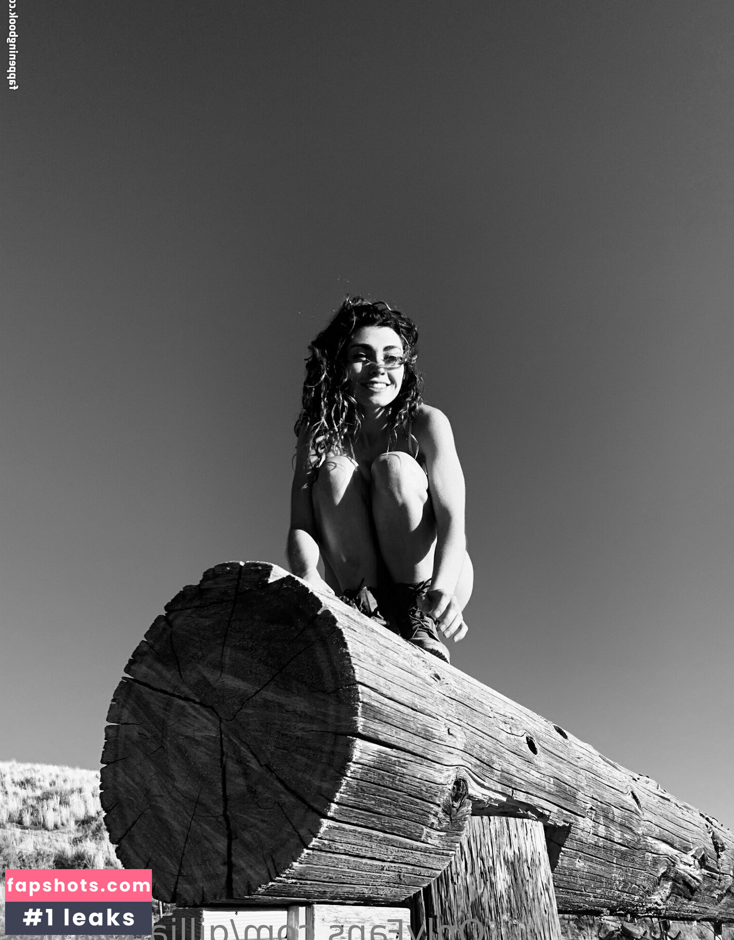 Gillian Barnes gallery photo #21