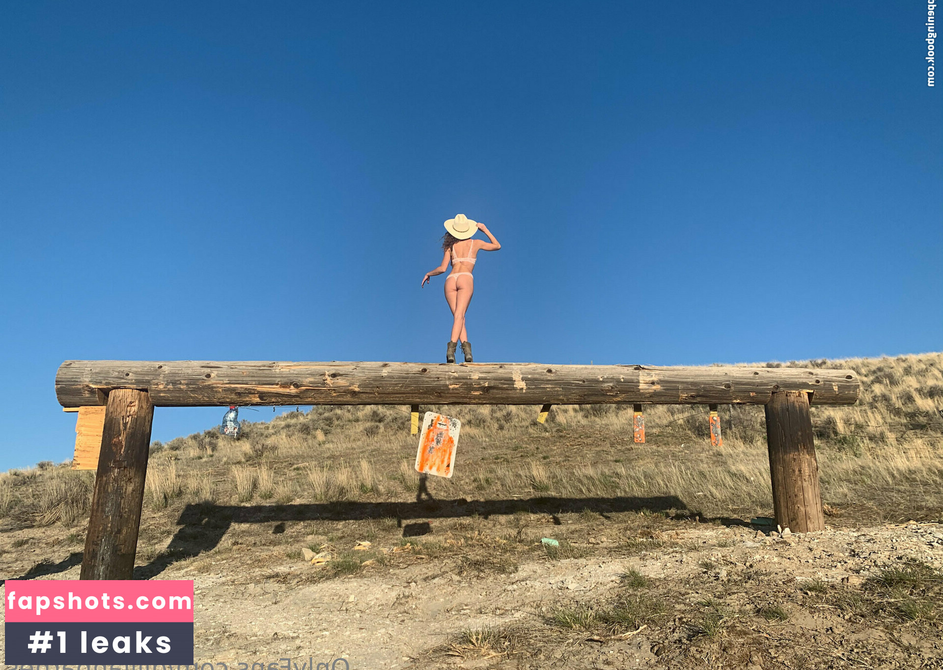 Gillian Barnes gallery photo #22