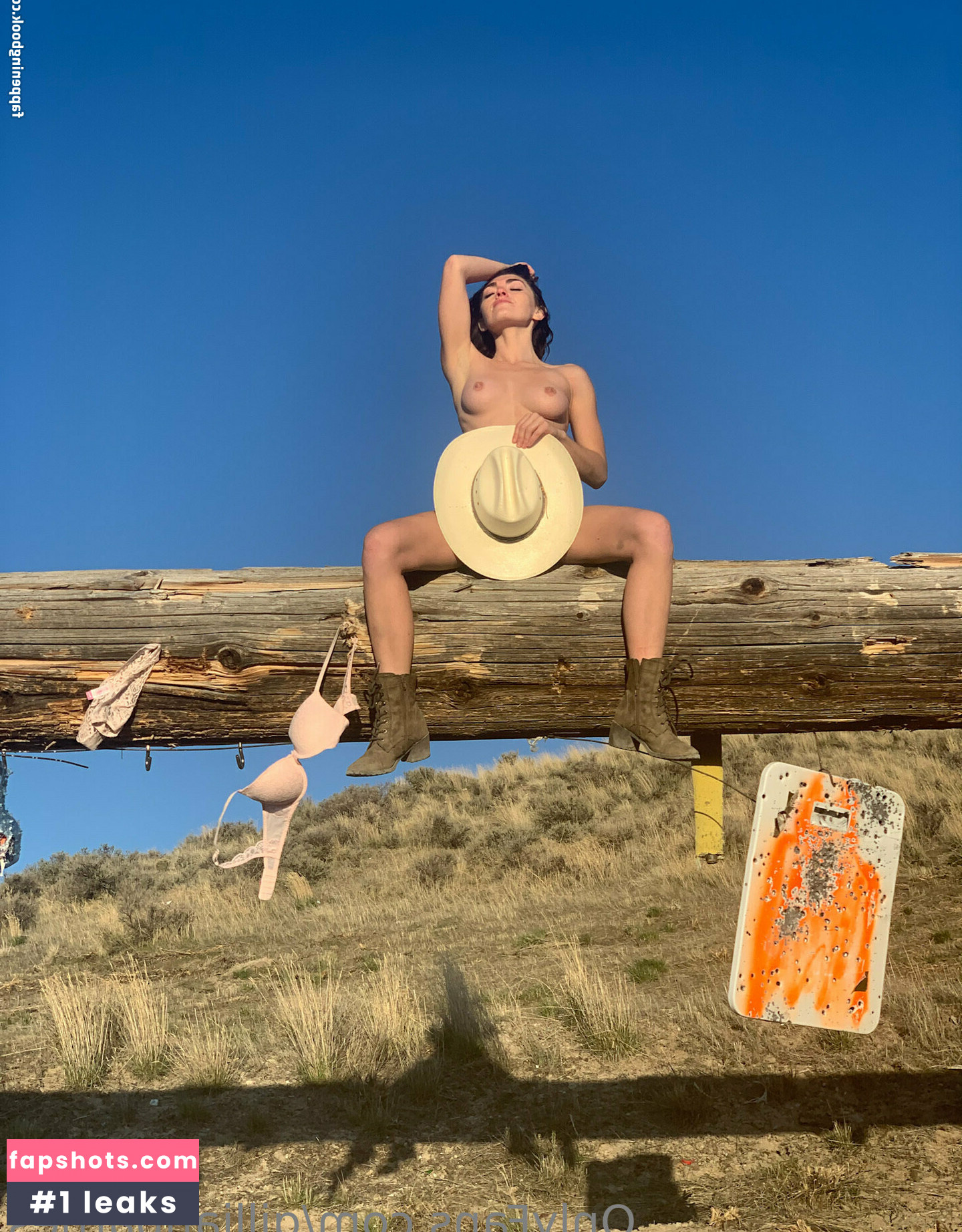 Gillian Barnes gallery photo #26