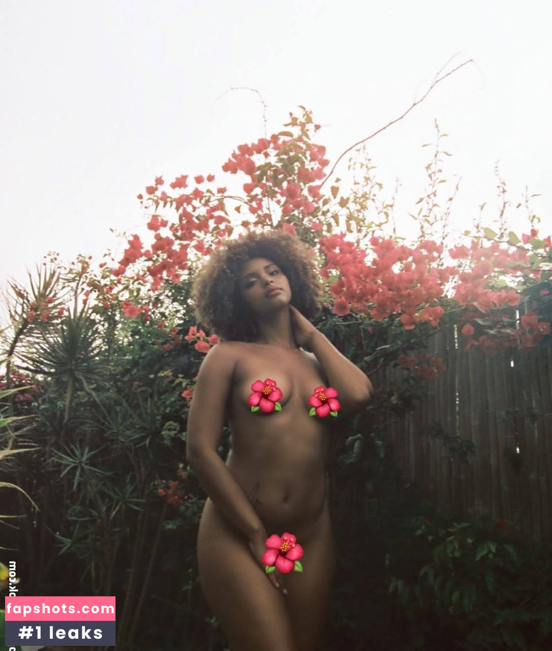 Gillian Chan gallery photo #20