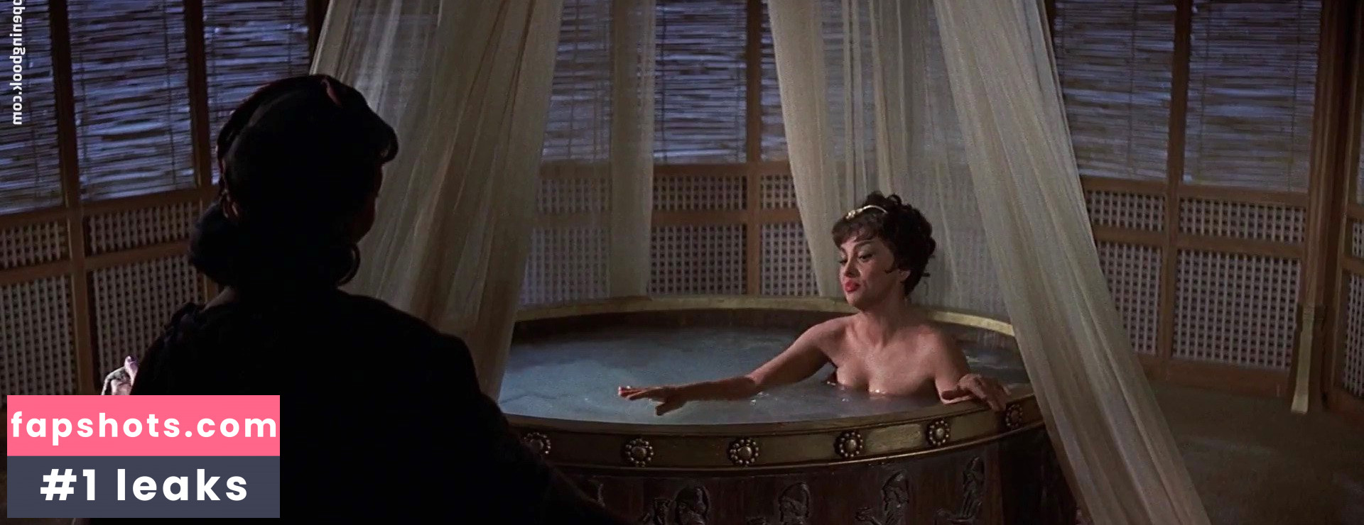 Gina Lollobrigida gallery photo #5