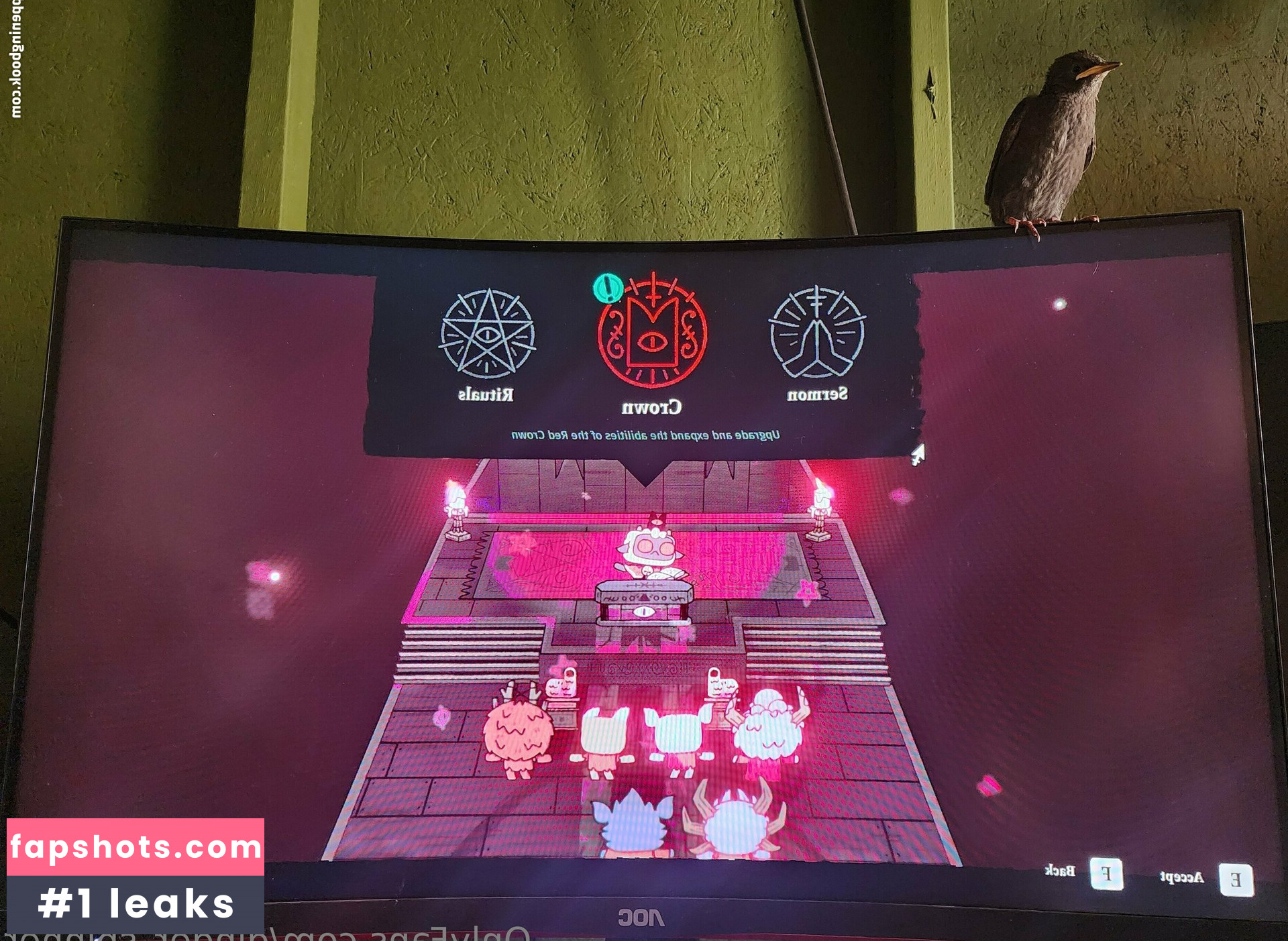 ginger_spinner gallery photo #45